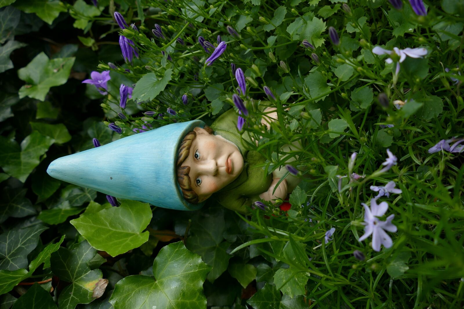 Panasonic Lumix DMC-FZ1000 sample photo. Garden gnome, funny, angela photography