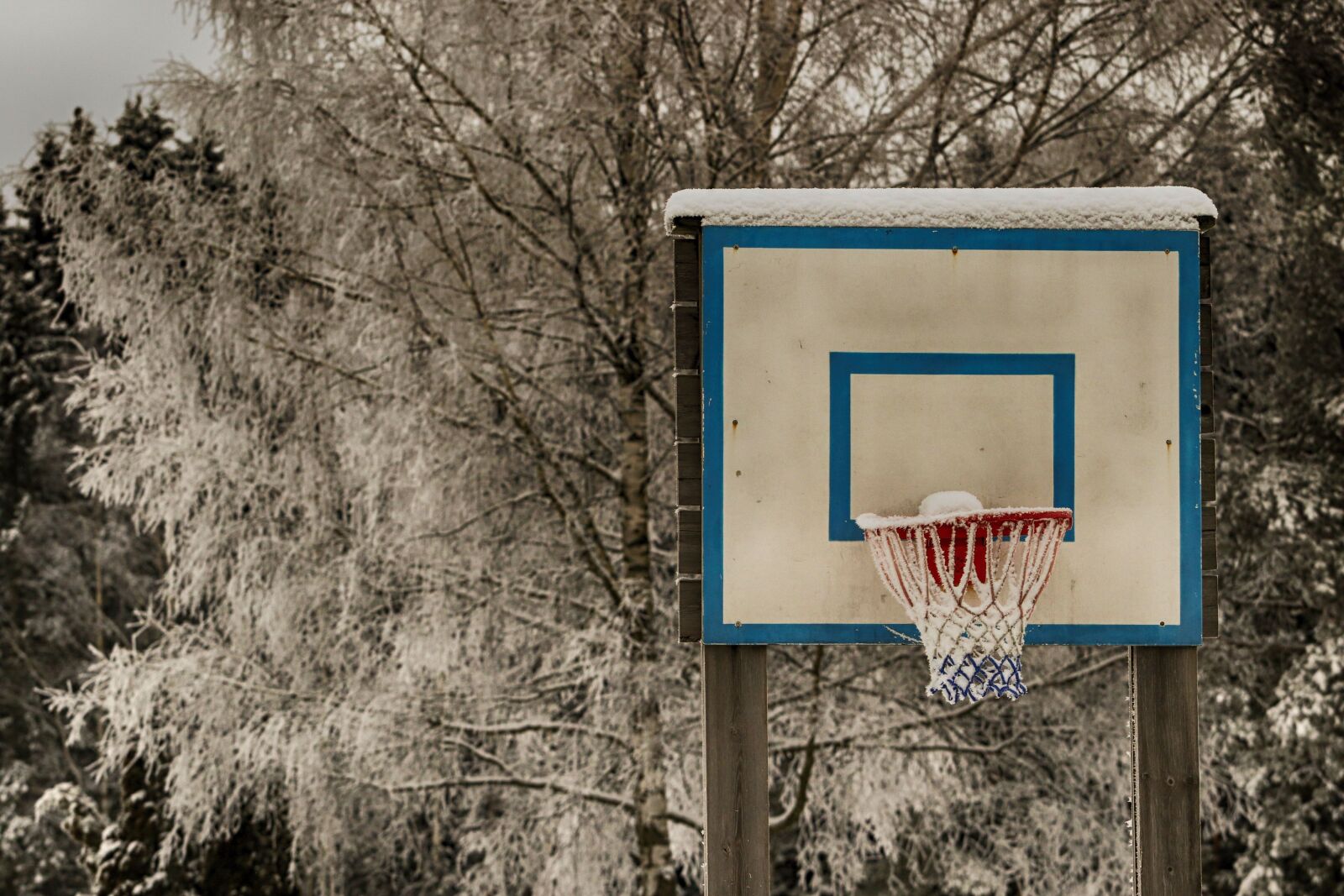 Canon EF 70-200mm F4L USM sample photo. Outdoors, basketball, tree photography