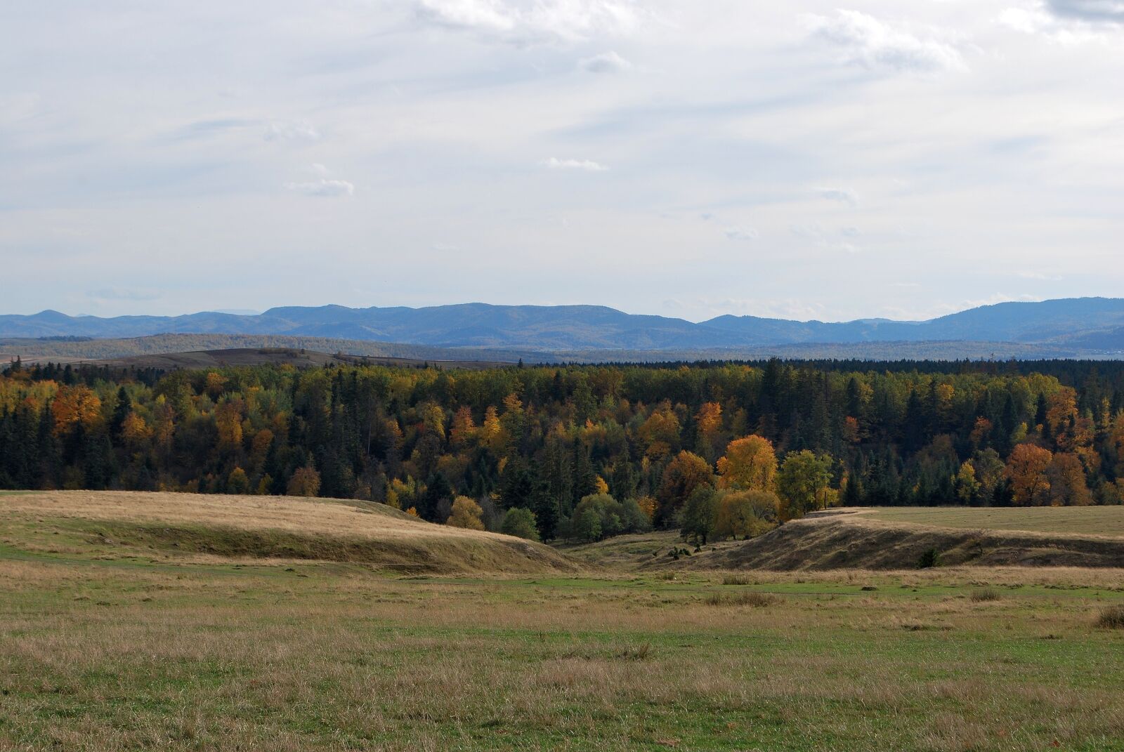 Nikon D60 sample photo. Landscape, autumn, bucovina photography