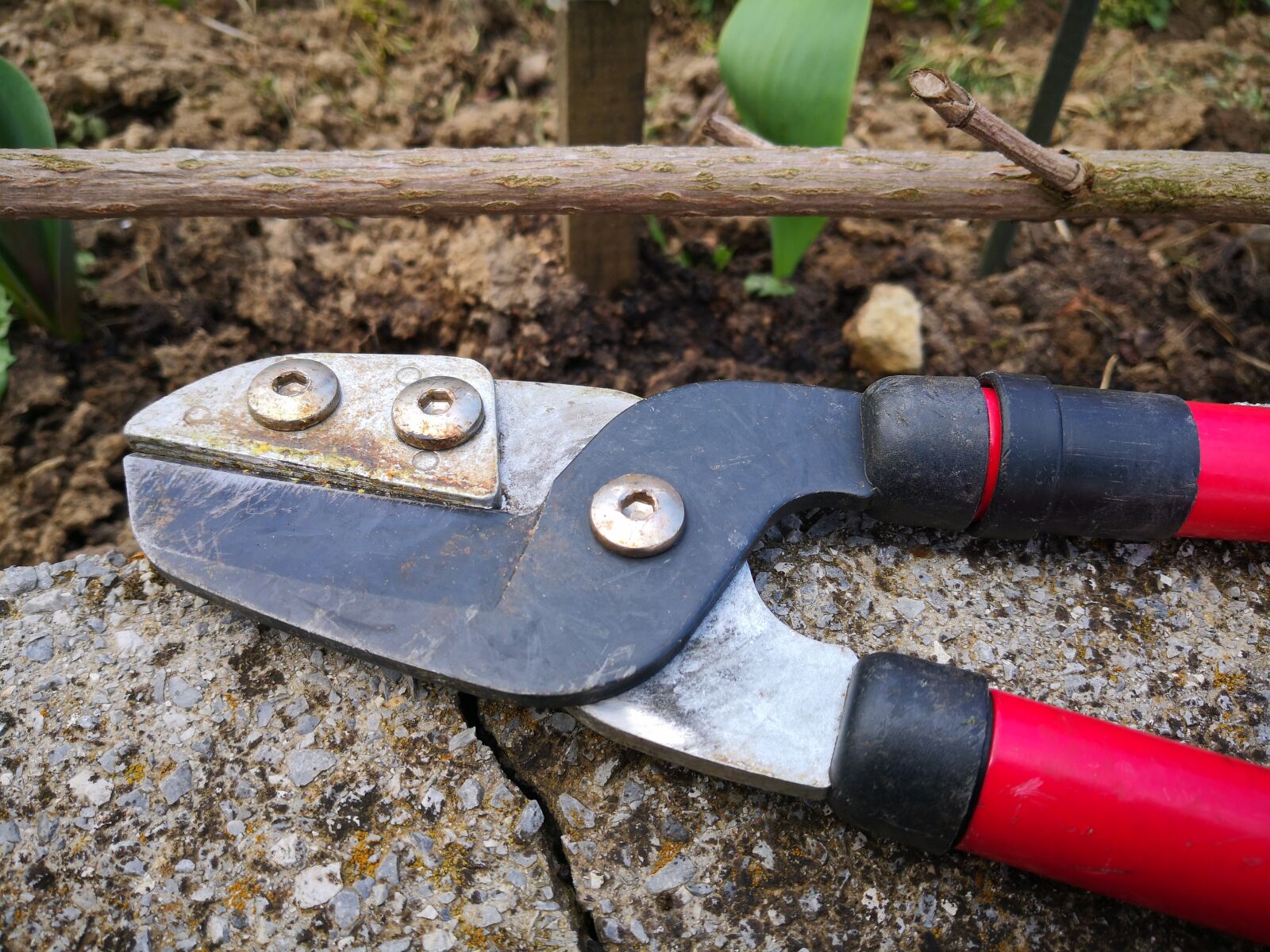HUAWEI Mate 10 Pro sample photo. Tool, equipment, wood photography