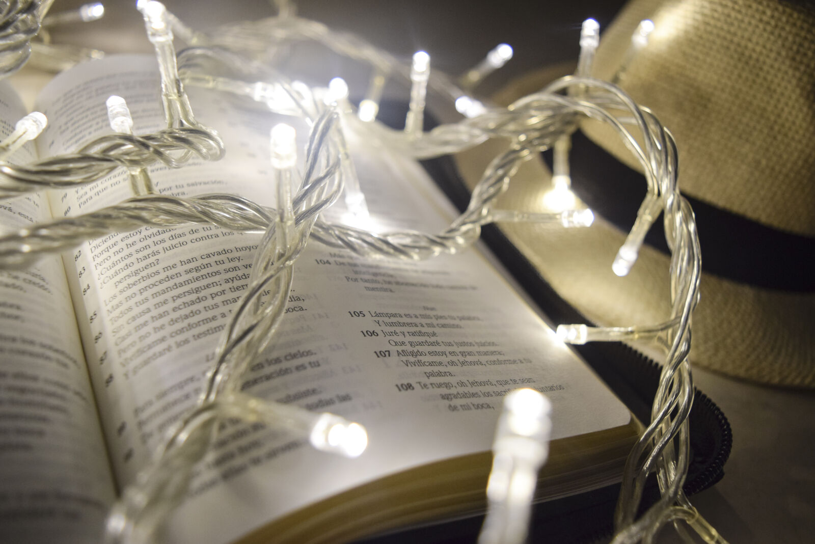 Nikon D3300 sample photo. Bible, black, and, white photography