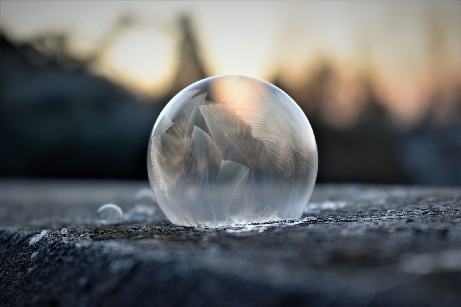 Nikon D5500 sample photo. Soap bubble, frozen, eiskristalle photography