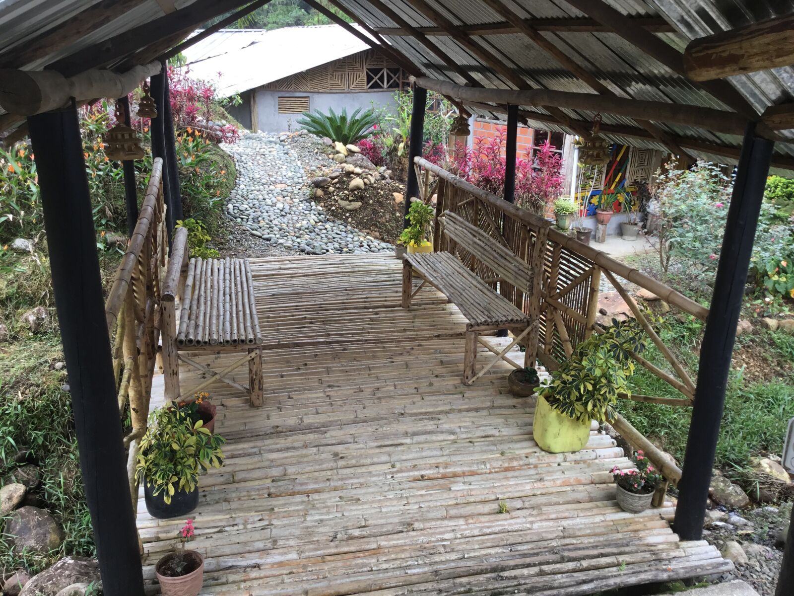Apple iPad (5th generation) sample photo. Selva, amazonas, lounge photography
