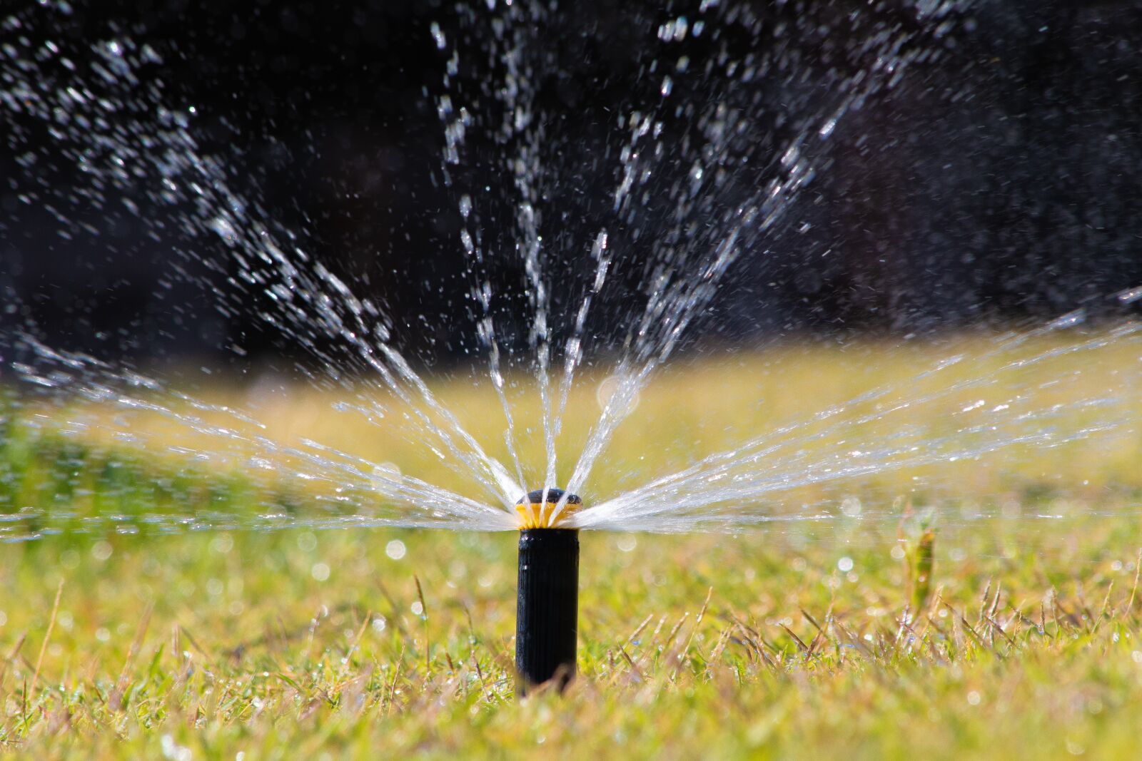 Canon EOS 70D + Canon EF 70-300mm F4-5.6 IS USM sample photo. Lawn, water, nature photography