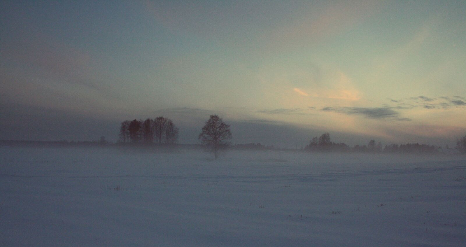 Canon EF-S 18-55mm F3.5-5.6 II sample photo. Winter, nature, snow, fog photography