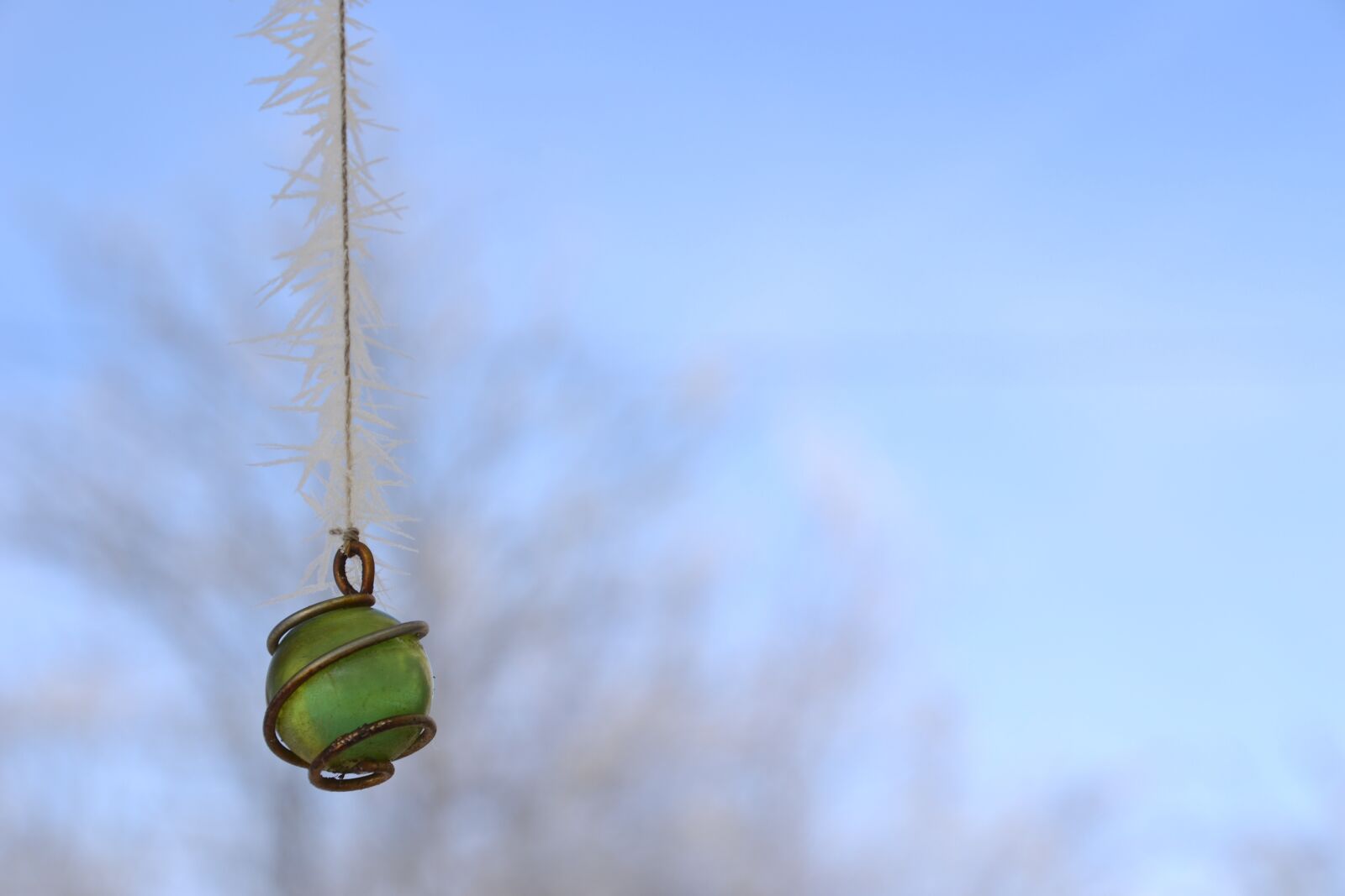 Nikon D3100 sample photo. Eiskristalle, frost, winter photography