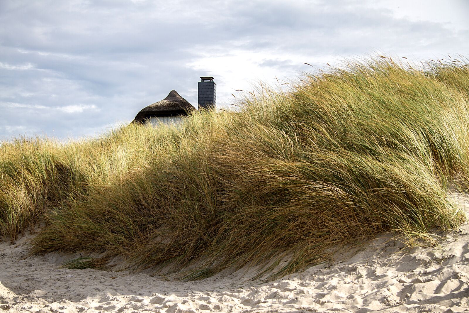 Canon EOS 7D sample photo. Ahrenshoop, baltic sea, fischland photography