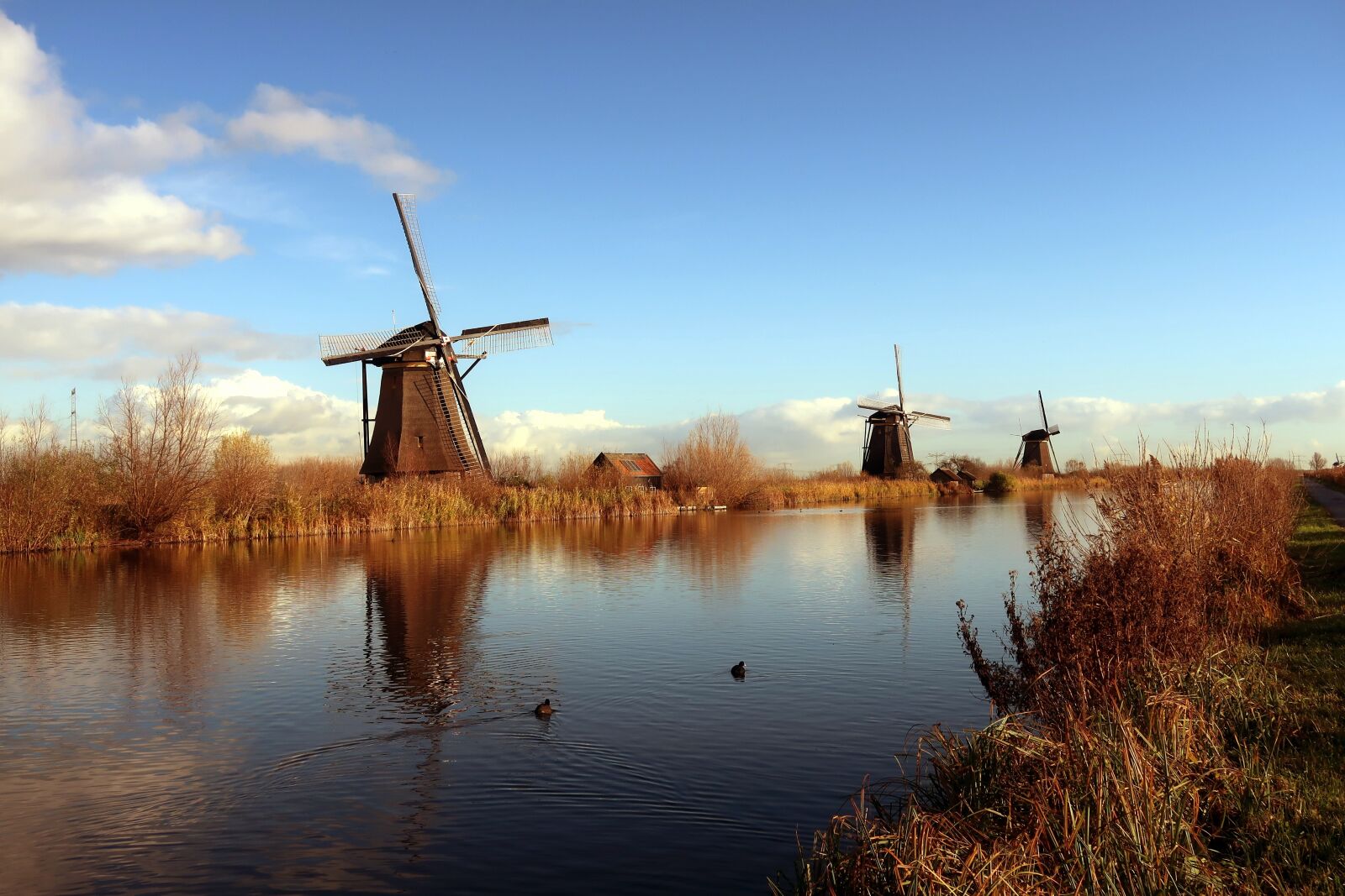 Canon PowerShot G7 X Mark II sample photo. Kinderdijk, mill, mills photography