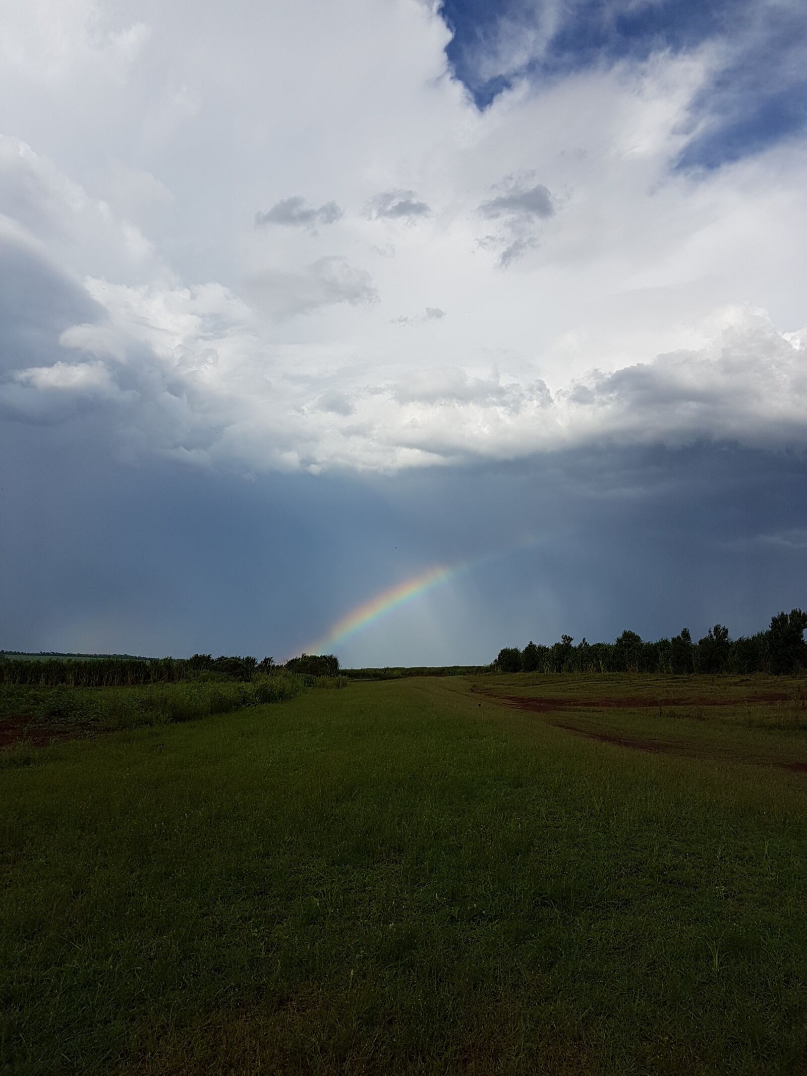 Samsung Galaxy S7 Edge sample photo. Field, arco-iris, rain photography