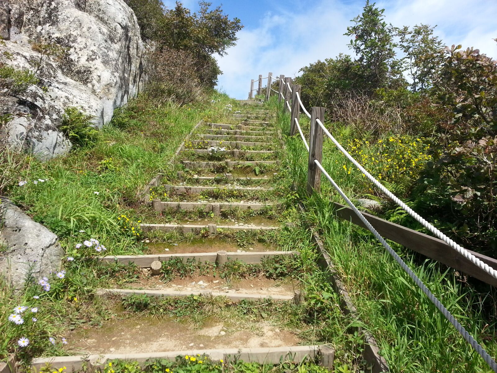 Samsung Galaxy Note2 sample photo. Stairs, ms when the photography