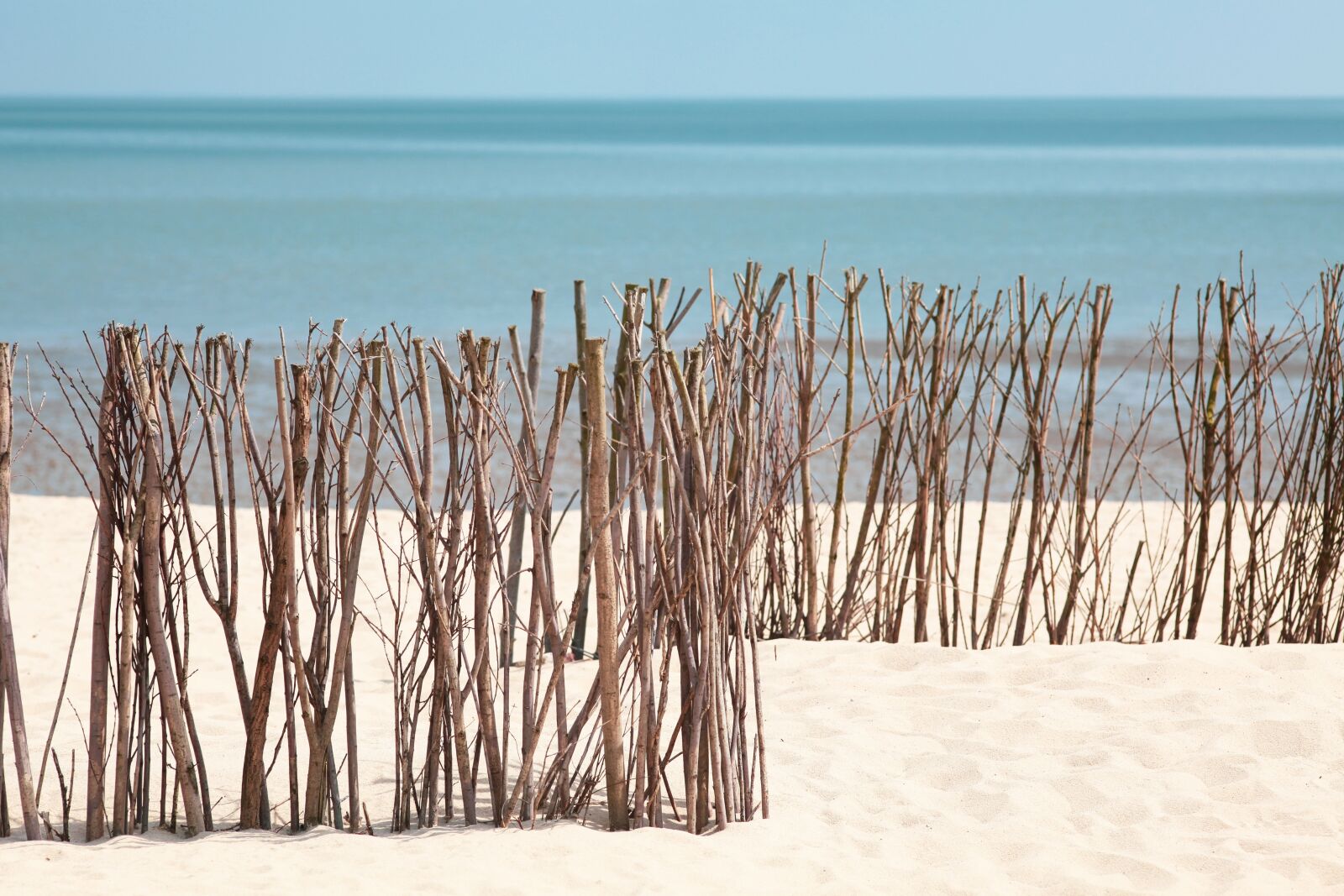 Canon EOS 5D Mark II sample photo. Sea, coastal protection, beach photography