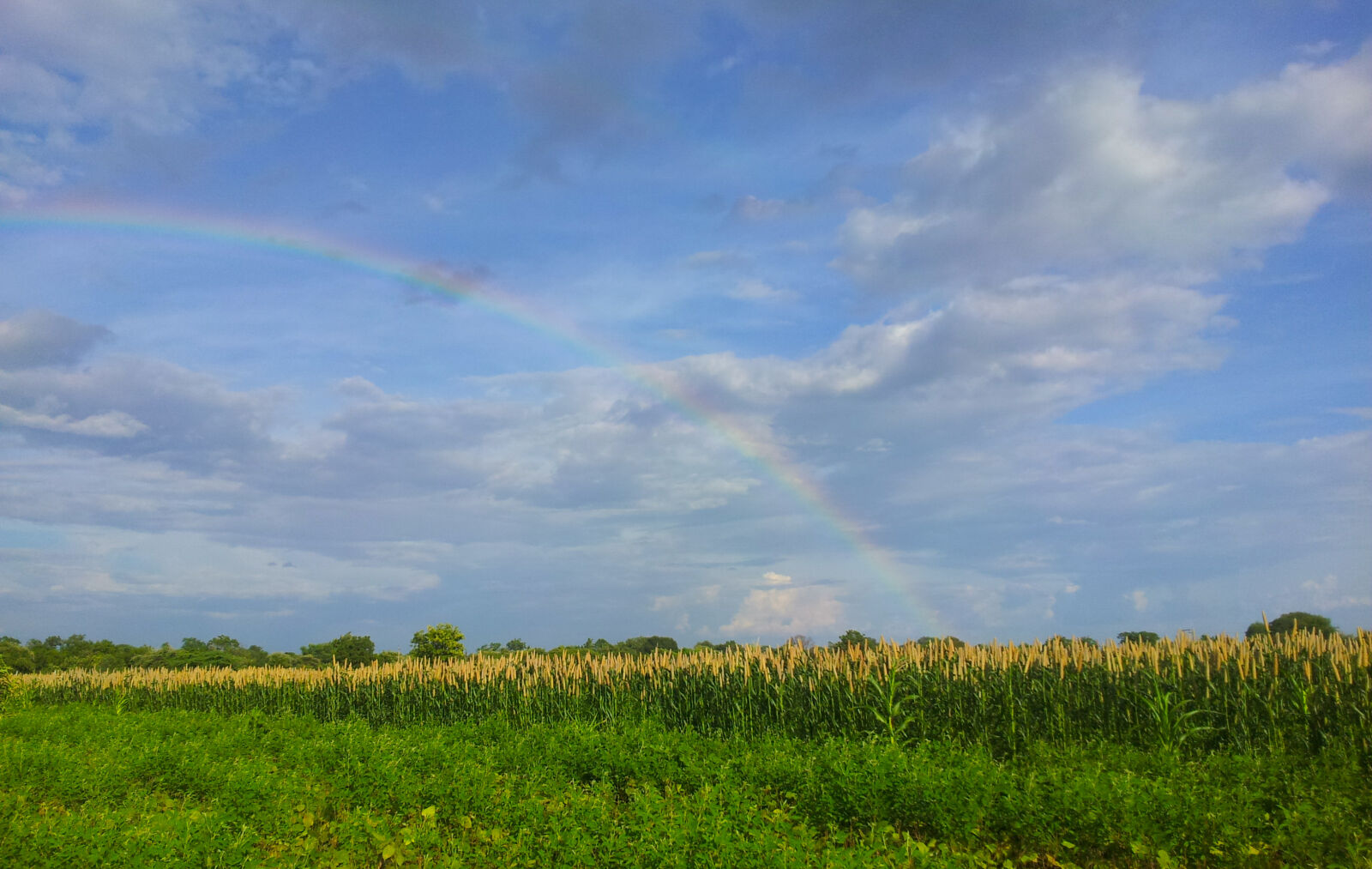 Samsung Galaxy S2 sample photo. Blue, sky, rainbow photography