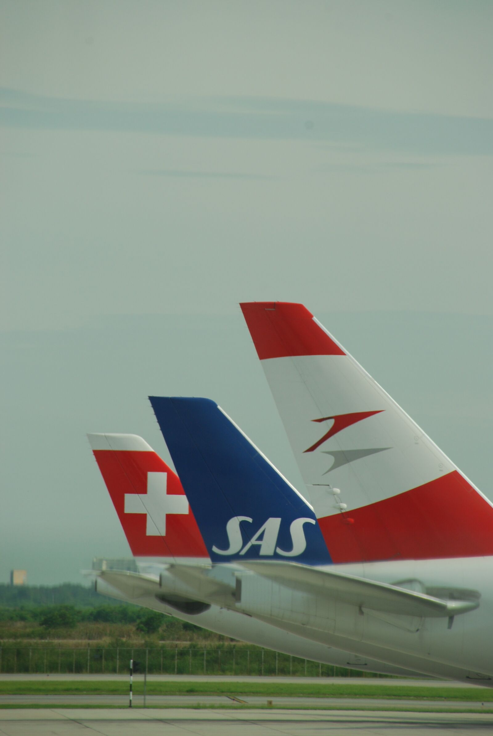 Nikon D80 sample photo. Airplane, sky, plane photography