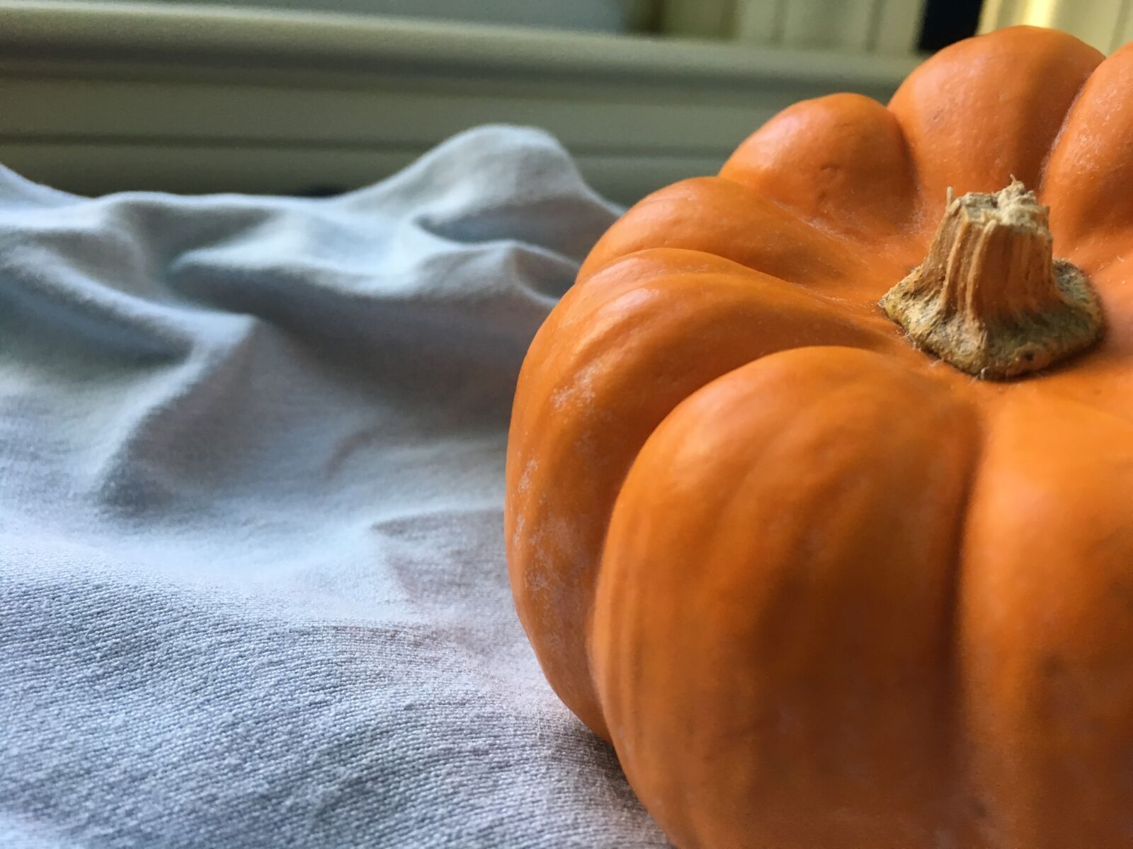 Apple iPhone 6s sample photo. Pumpkin, fall, orange photography
