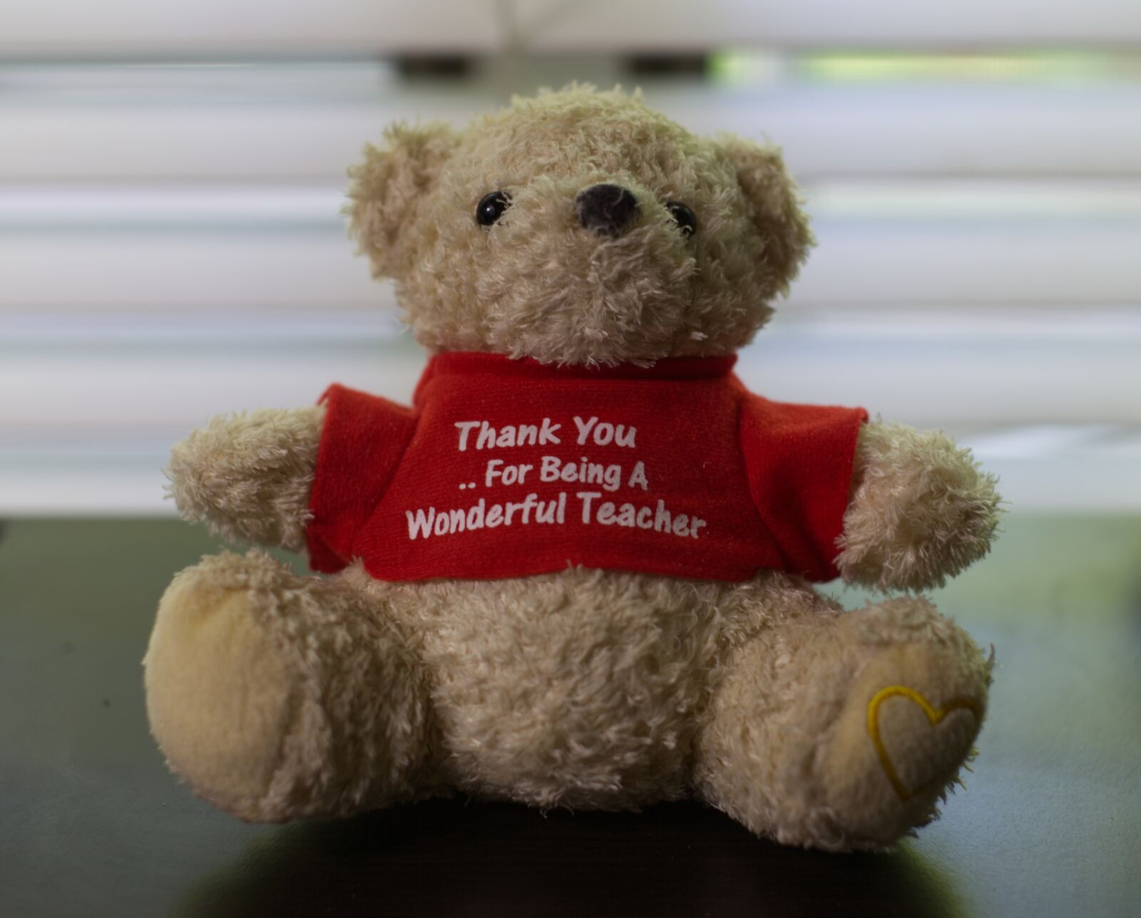 Canon EOS 5D Mark II sample photo. Teacher appreciation, teacher, school photography