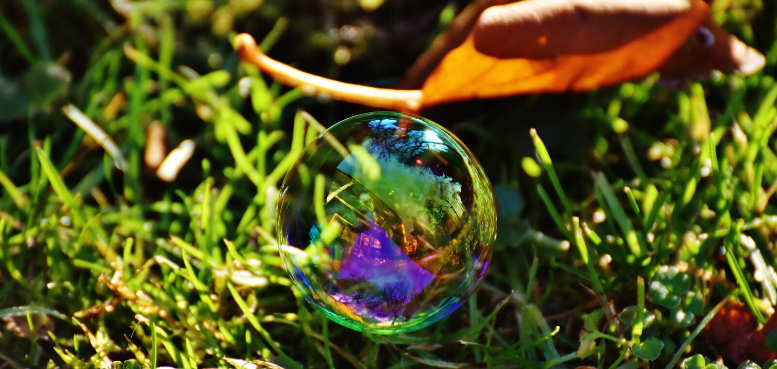 Nikon D7200 sample photo. Soap bubble, colorful, meadow photography