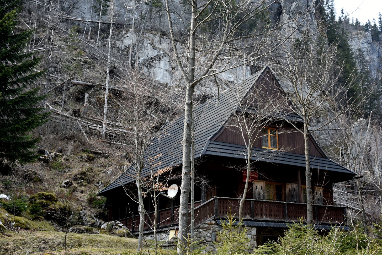 Nikon D7200 sample photo. Le nicz wka, forest photography