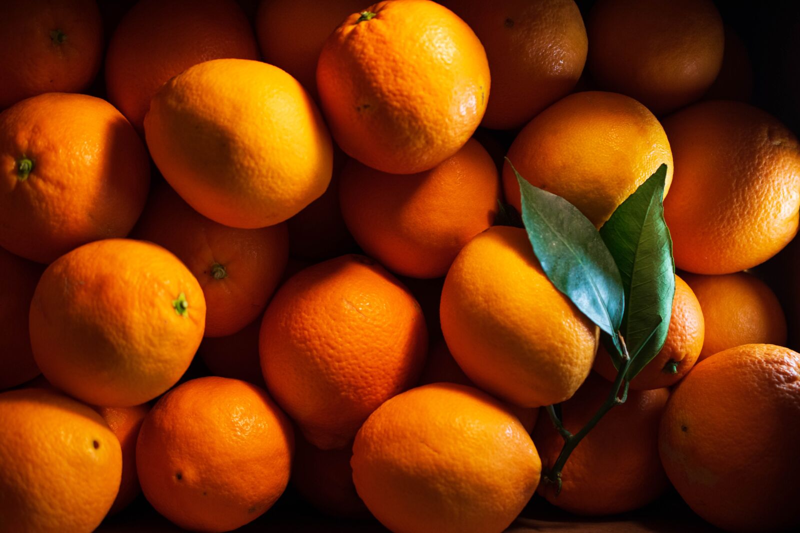 Nikon D3300 sample photo. Orange, fruit, eat photography