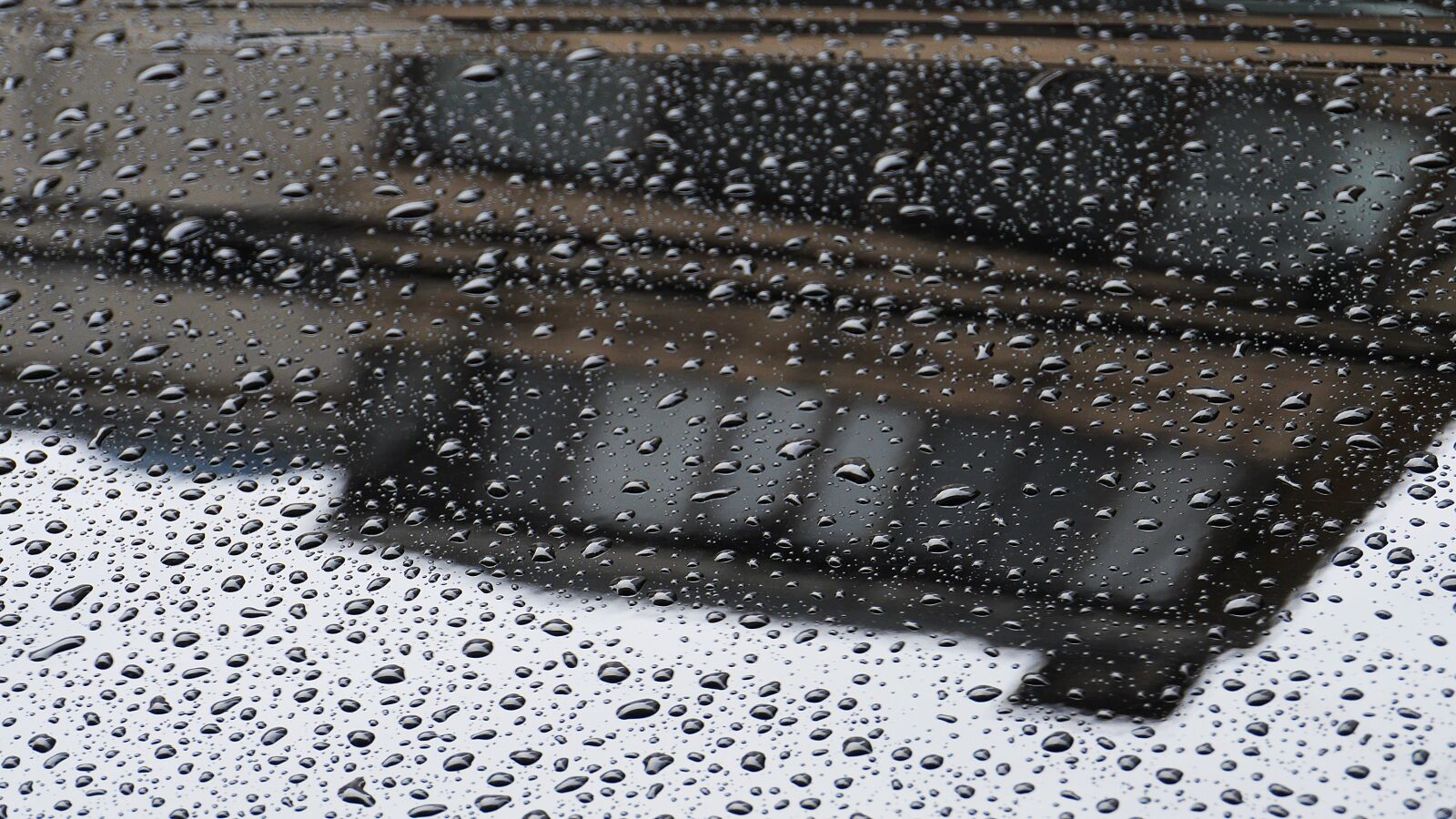 Panasonic Lumix DMC-GH3 sample photo. Reflect, non, raindrops photography