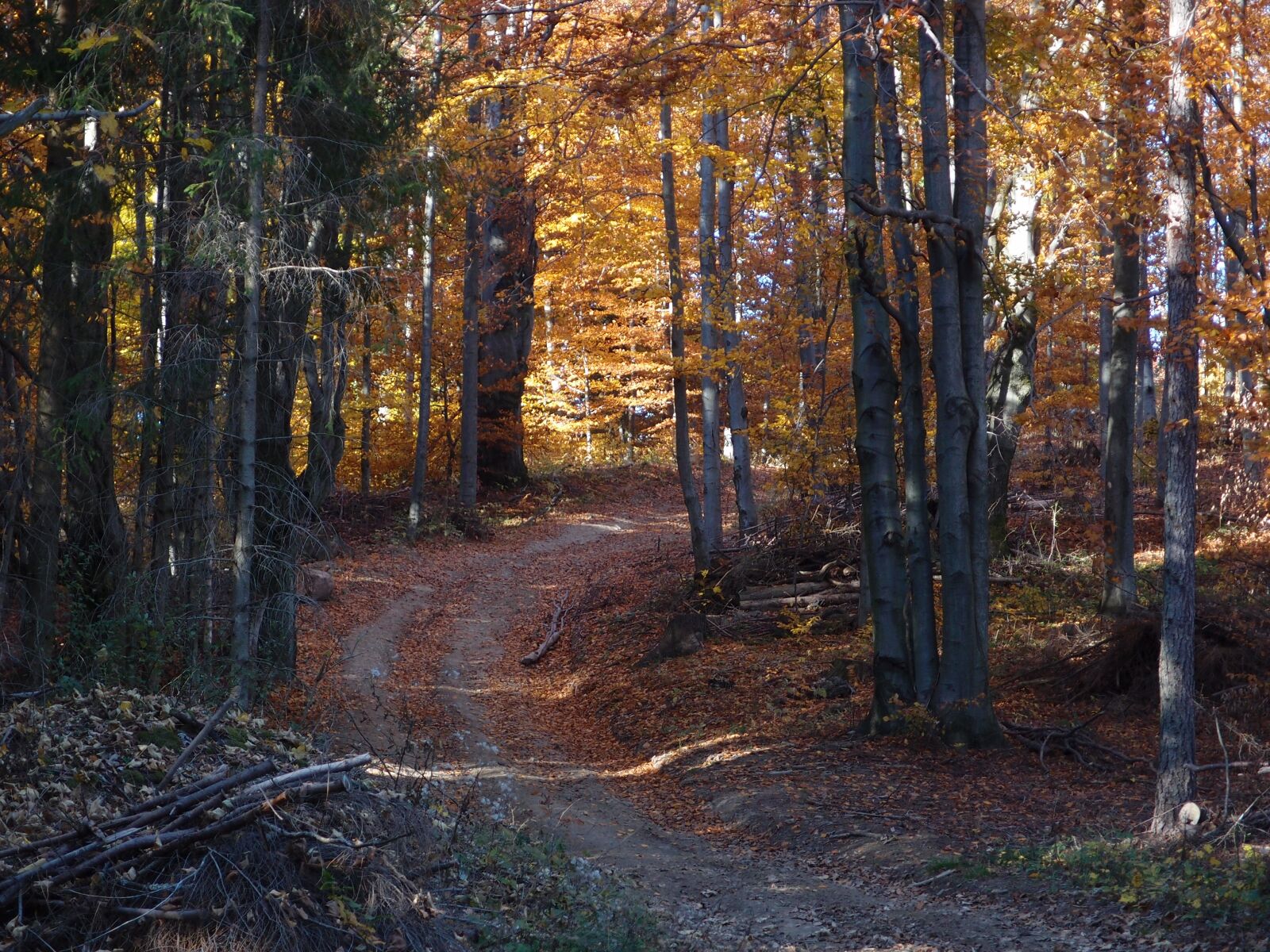Olympus XZ-1 sample photo. Nature, mountain, color photography