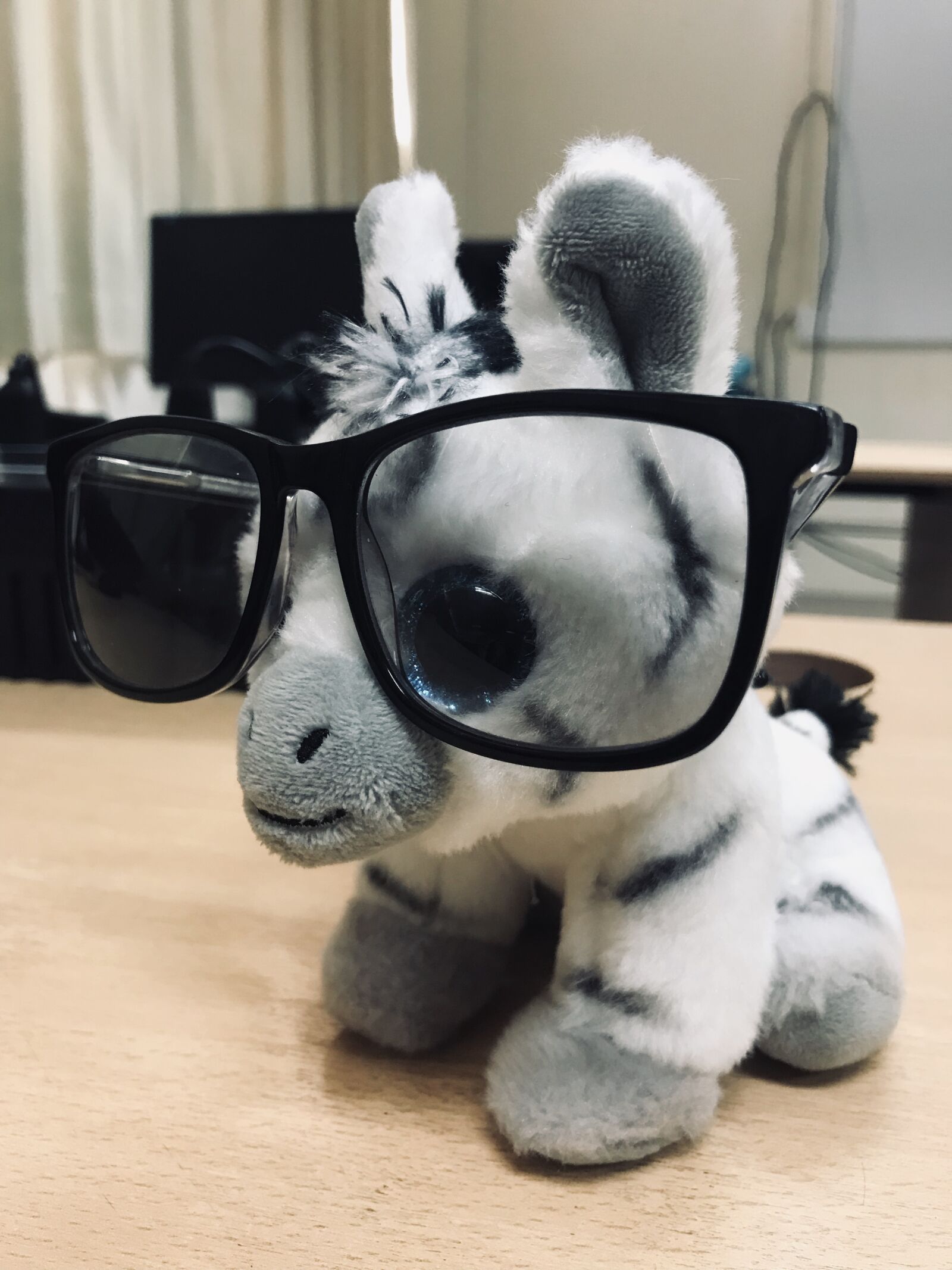 iPhone 7 back camera 3.99mm f/1.8 sample photo. Teddy, photo, cute photography