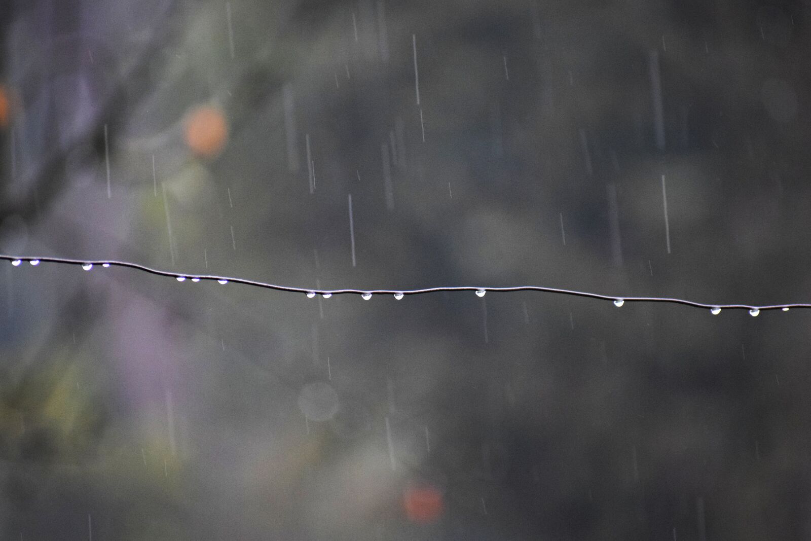 Nikon D3300 sample photo. Rain, water droplets, falling photography