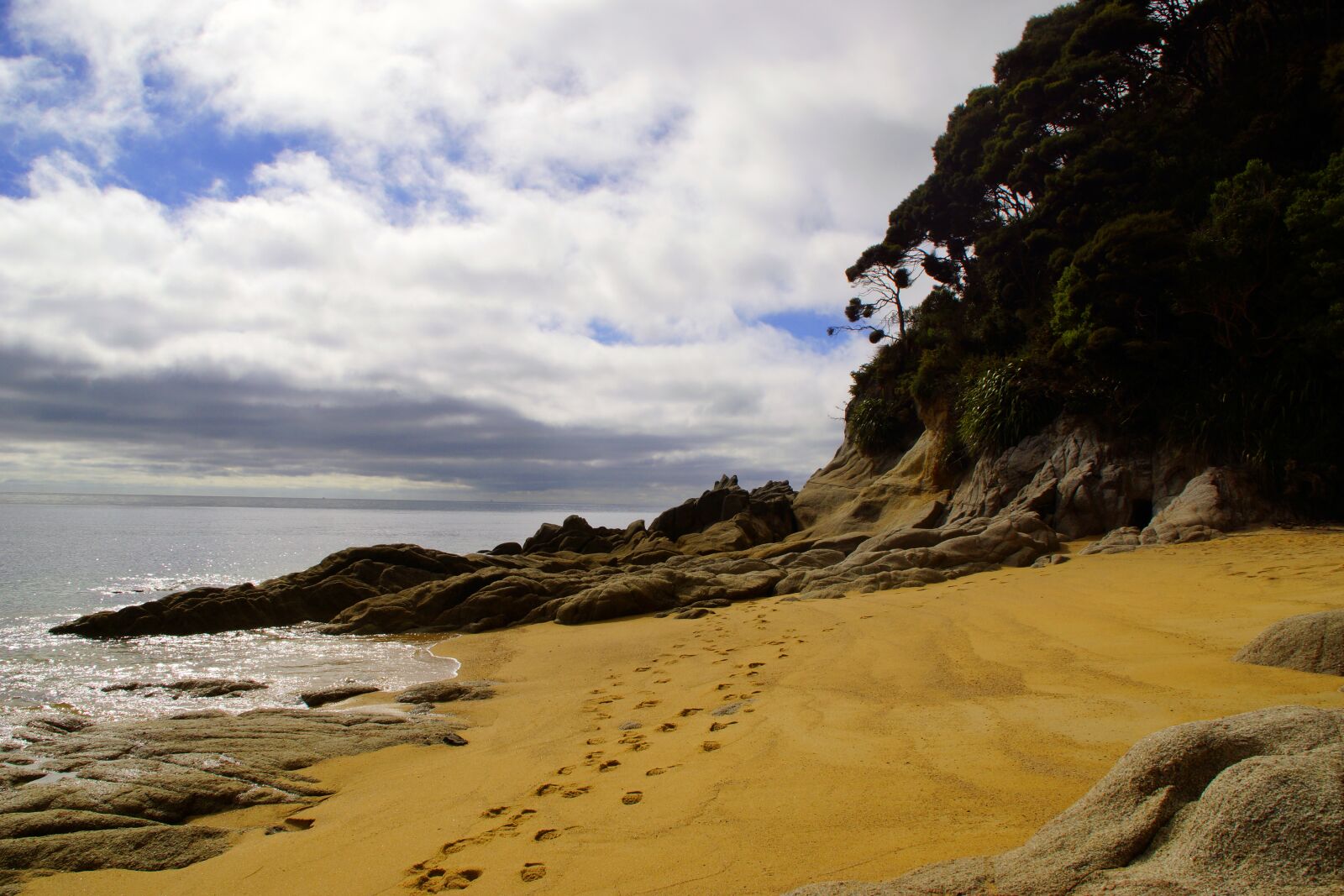 Sony SLT-A77 sample photo. Abel tasman, national park photography
