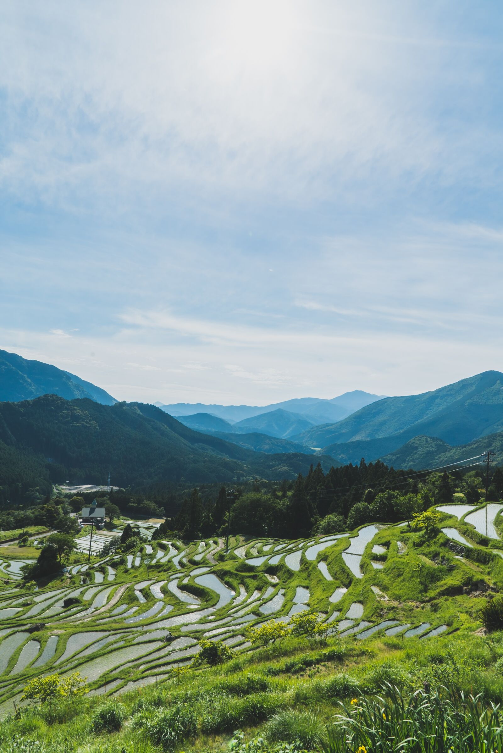 Sony a7S II + Sony Vario Tessar T* FE 24-70mm F4 ZA OSS sample photo. Maruyama, senmaida, japan photography