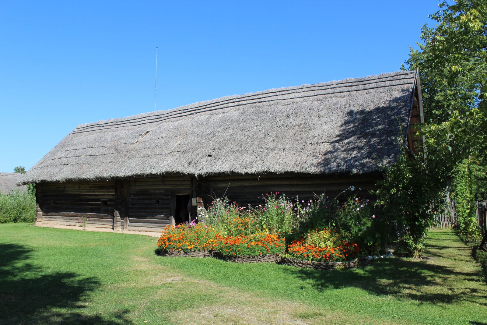 Canon EOS 600D (Rebel EOS T3i / EOS Kiss X5) sample photo. Europe, lithuania, rum i photography