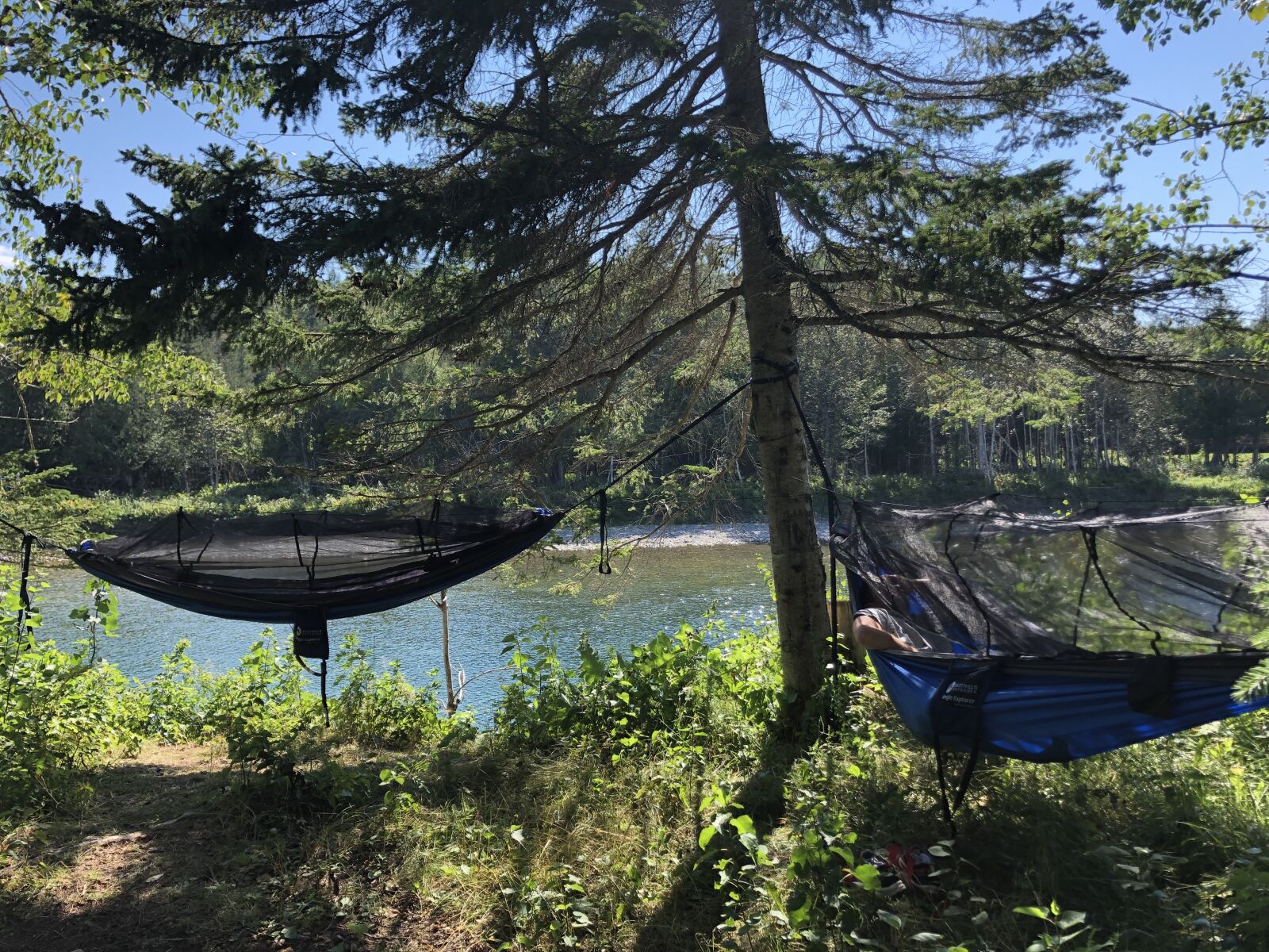 iPhone 8 back camera 3.99mm f/1.8 sample photo. Hammock, river, nature photography