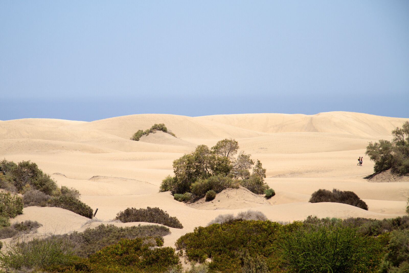 Canon EOS 7D sample photo. Maspalomas, dunes, sand dunes photography