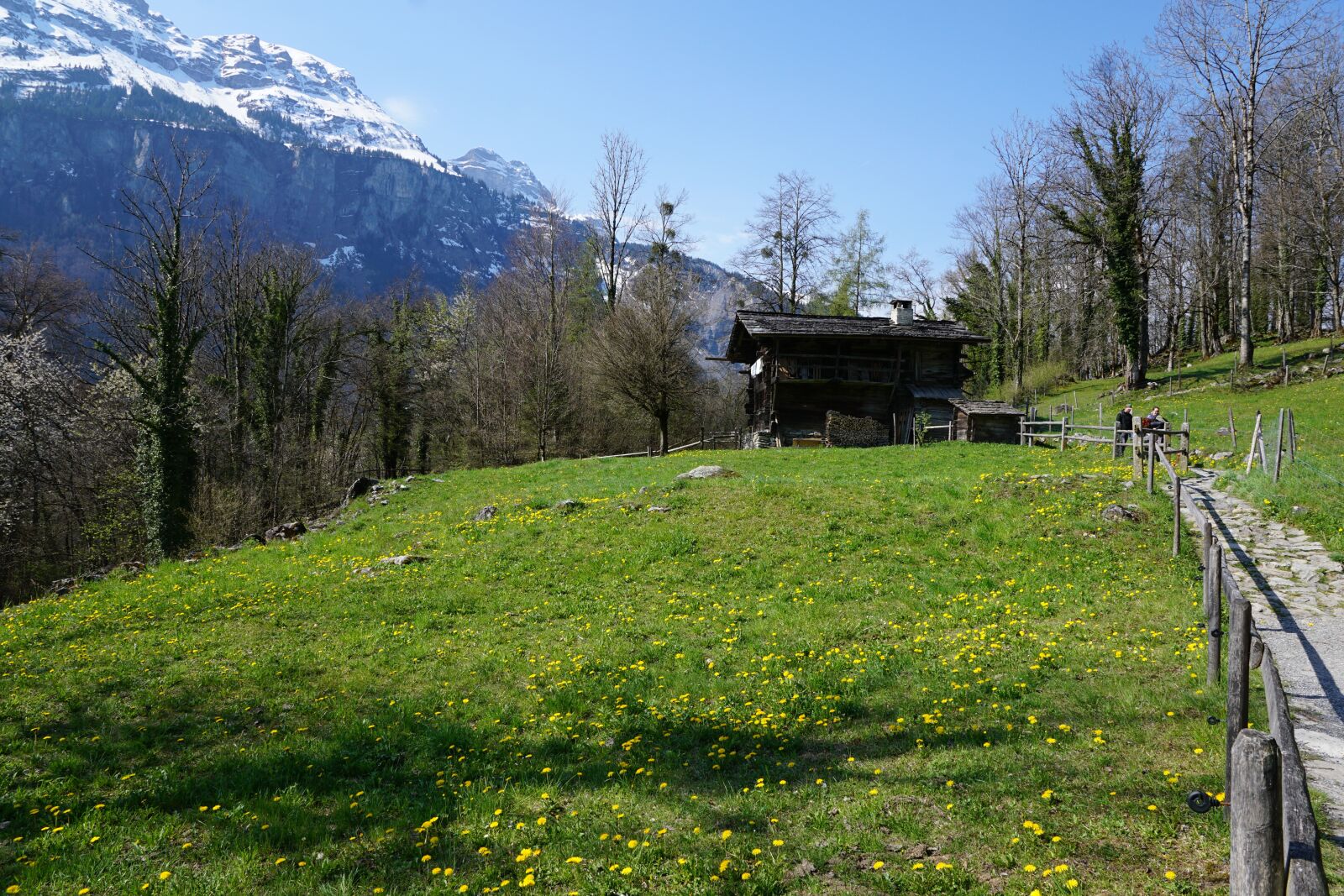 Sony ILCA-77M2 + Sony DT 16-50mm F2.8 SSM sample photo. Switzerland, village, mountain photography