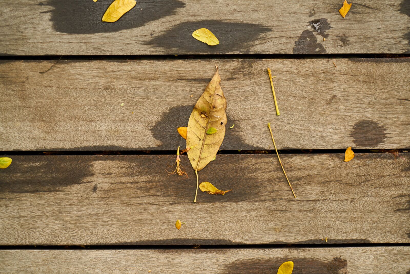 Sony a7R II sample photo. Wood-fibre boards, wood, wallpaper photography