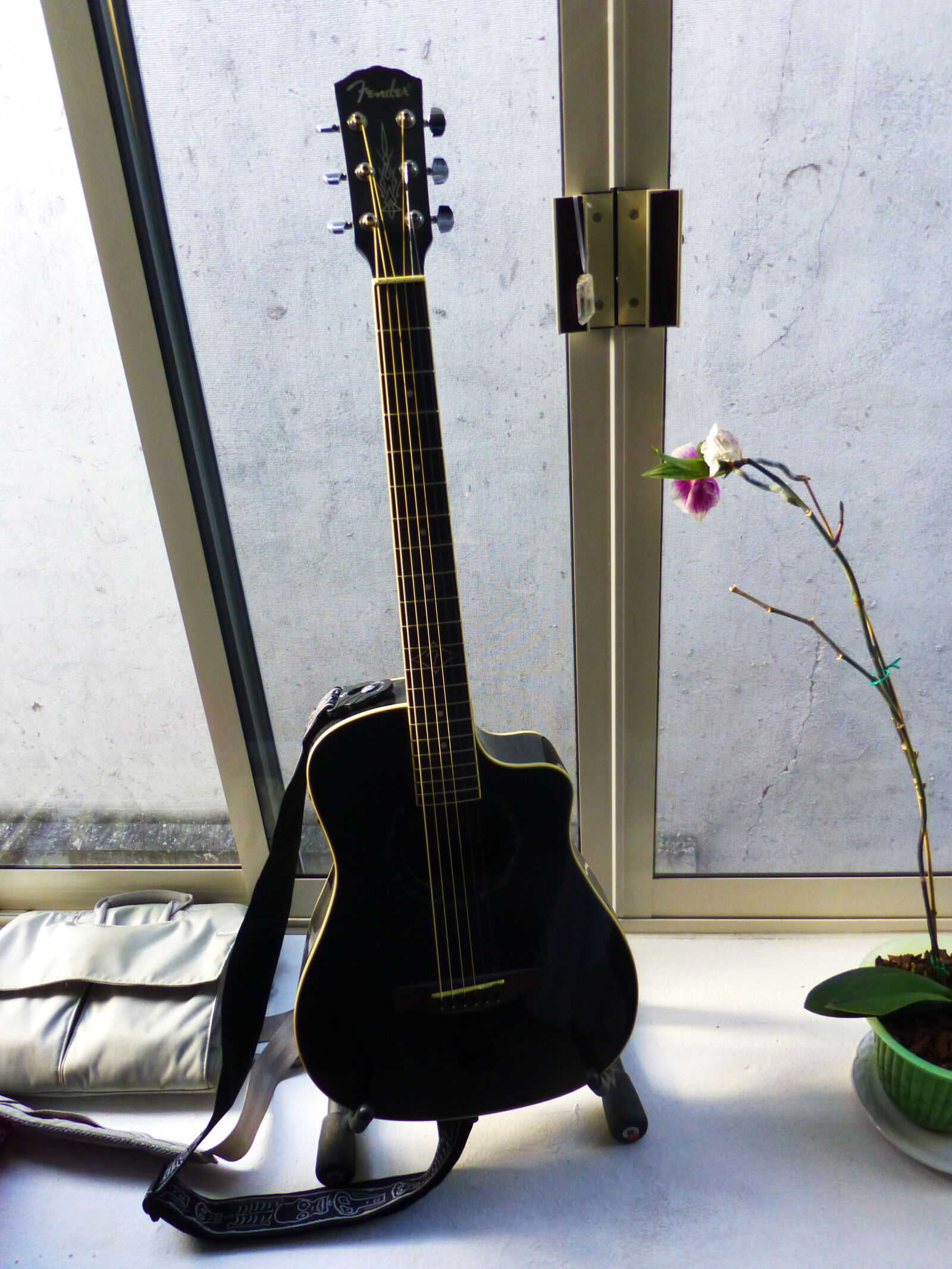 Panasonic Lumix DMC-ZS20 (Lumix DMC-TZ30) sample photo. Acoustic, guitar, black, guitar photography