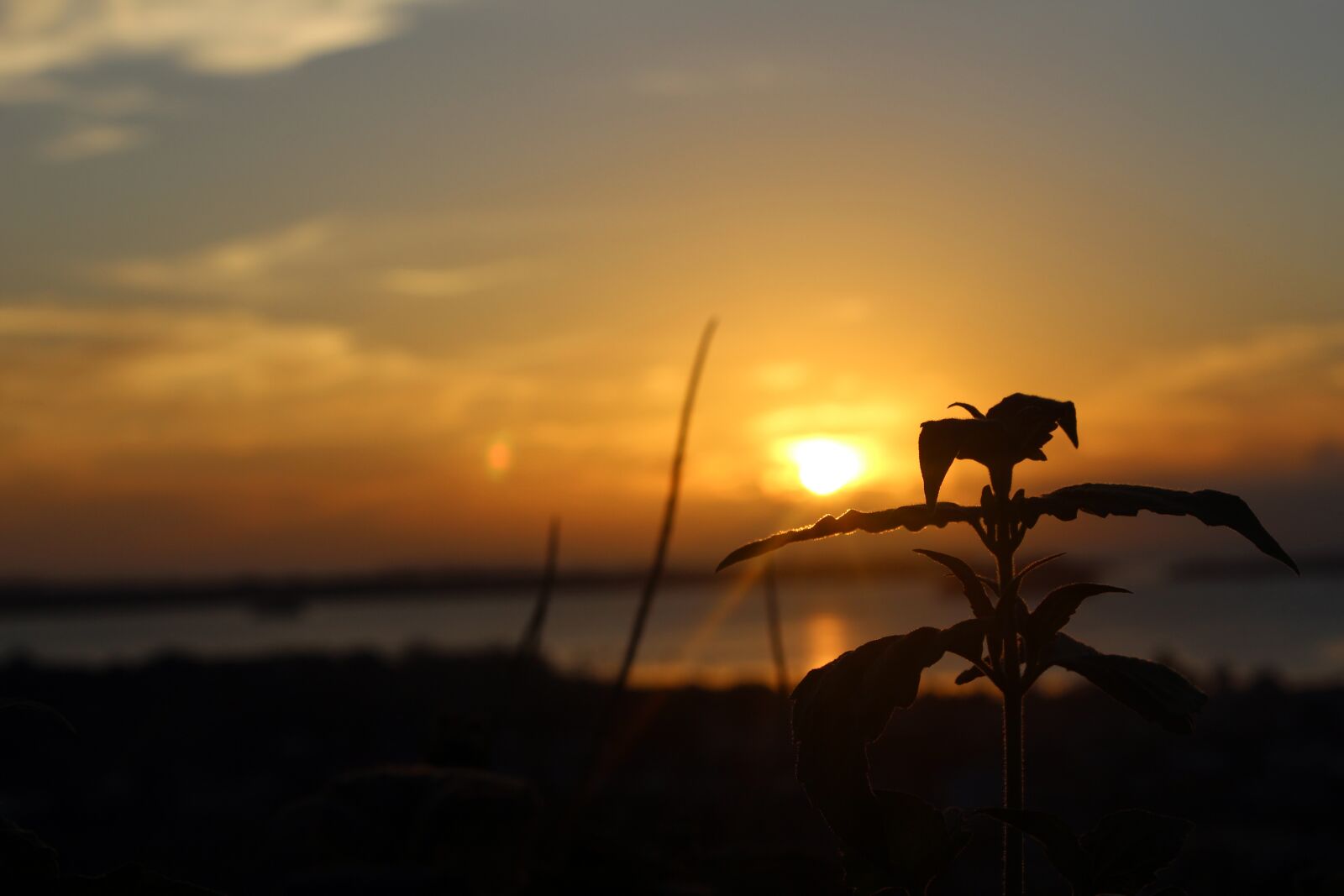 Canon EOS 700D (EOS Rebel T5i / EOS Kiss X7i) sample photo. Kei islands, sunset, twilight photography