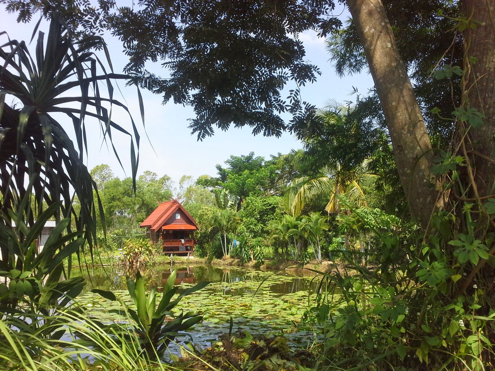 Samsung Galaxy Note 10.1 sample photo