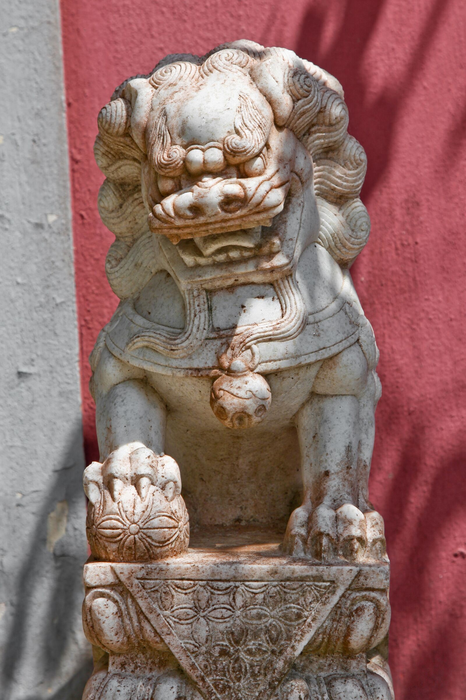 Canon EOS 5D Mark II sample photo. Lion, rock, art photography
