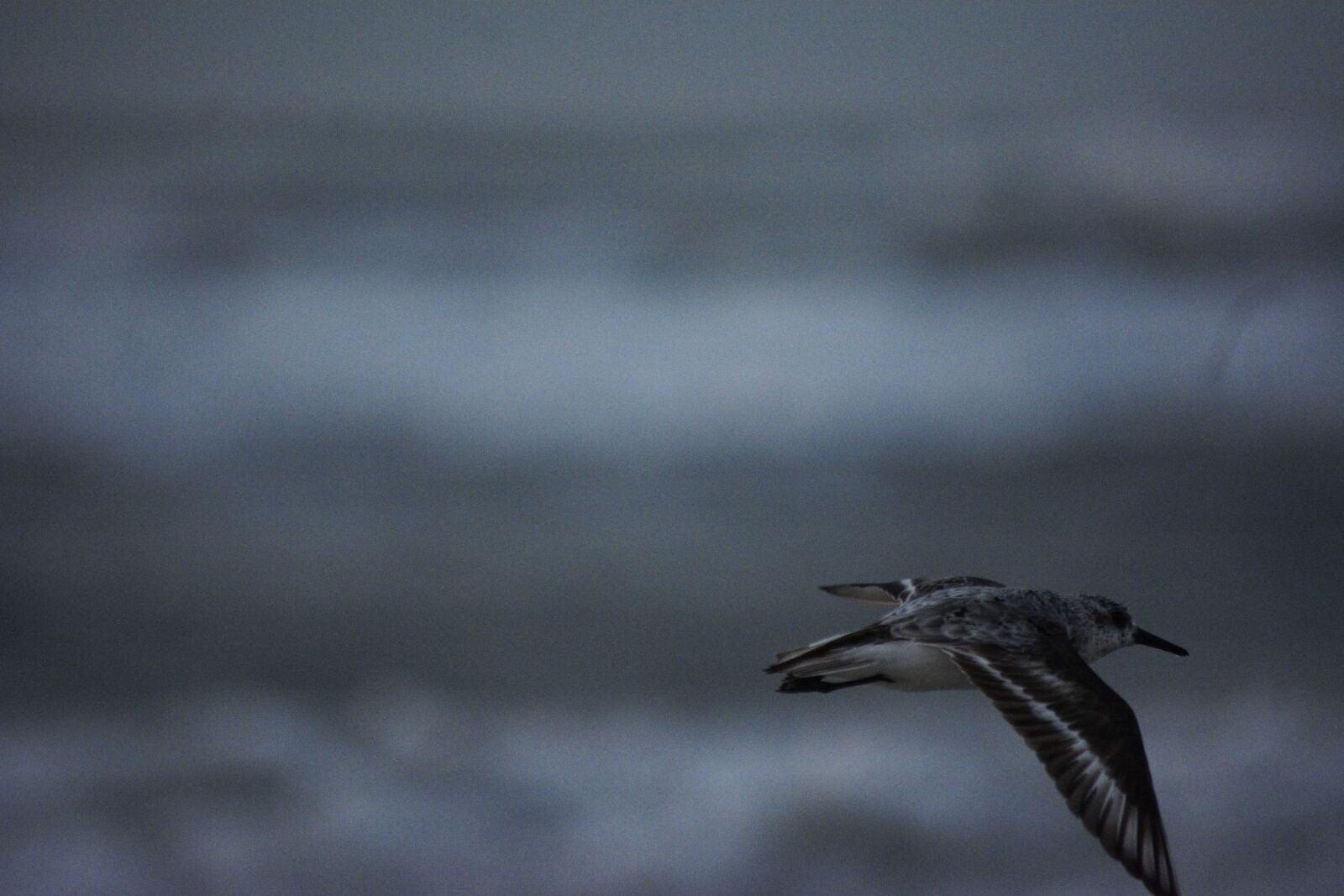 Nikon D5200 sample photo. Beach, sunset, torch photography