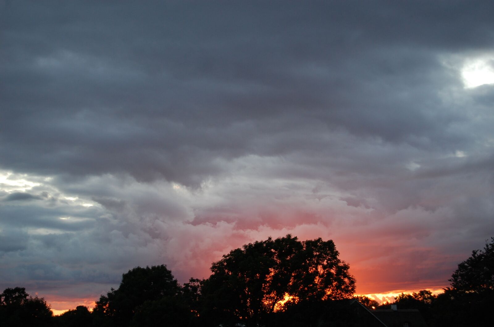 Nikon D40 sample photo. Sunset, cloud, vein photography