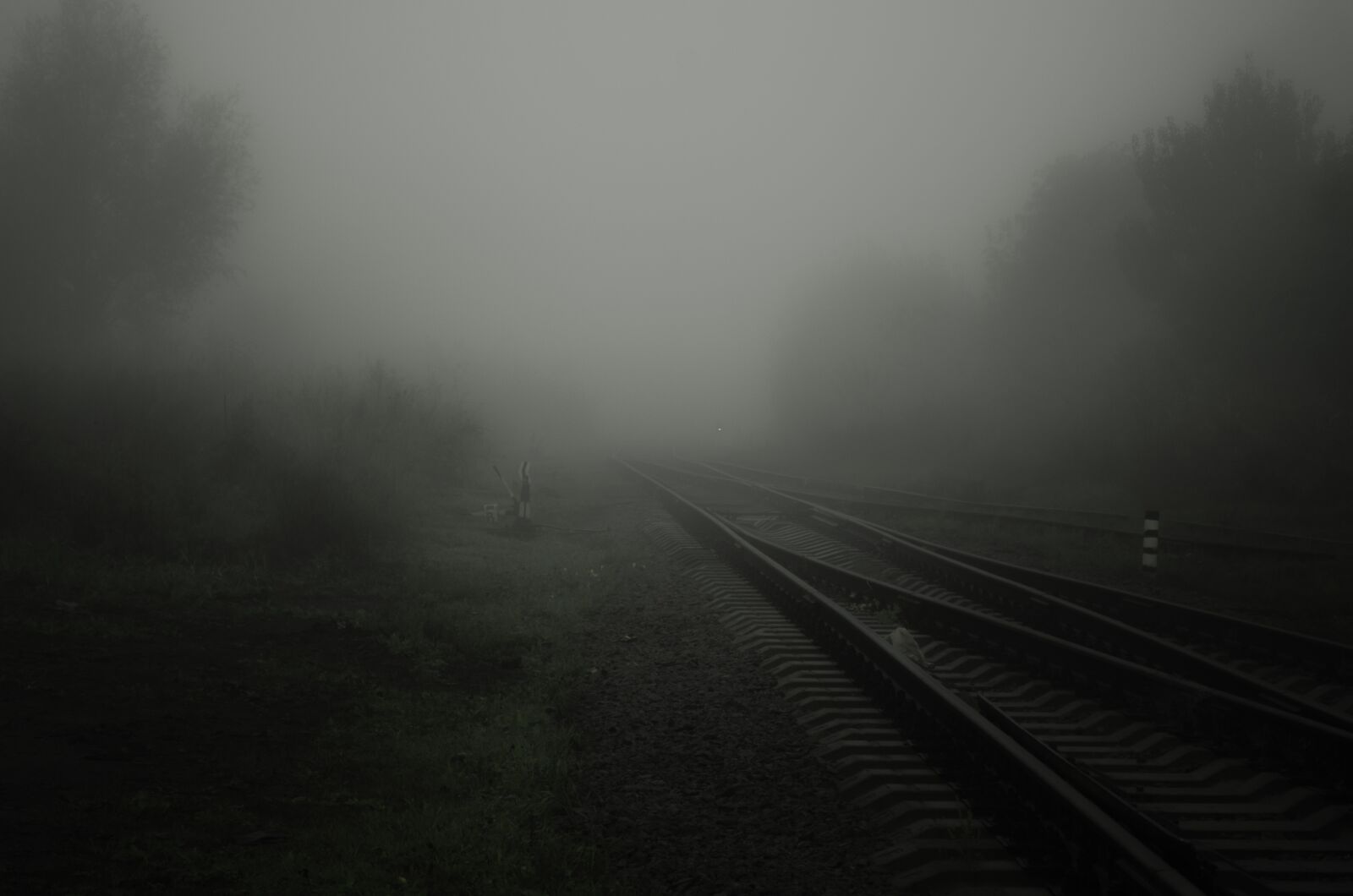 Nikon D5100 sample photo. Fog, road, rails photography