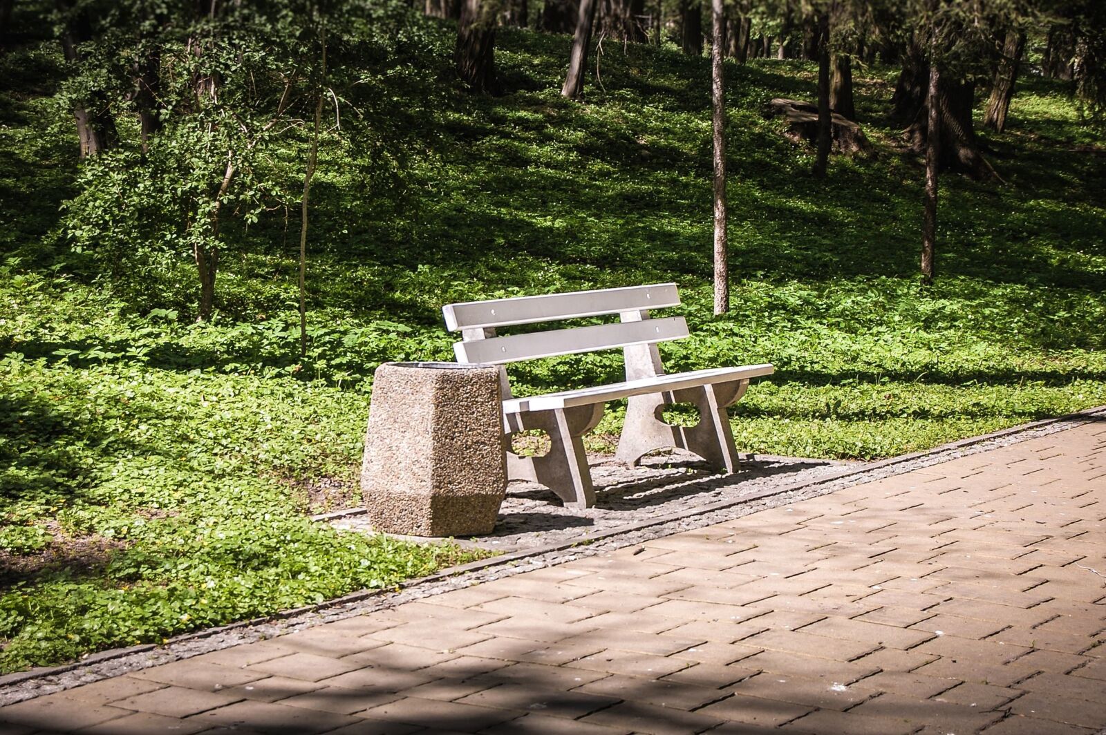 Nikon D40 sample photo. Bench, park, grass, wood photography