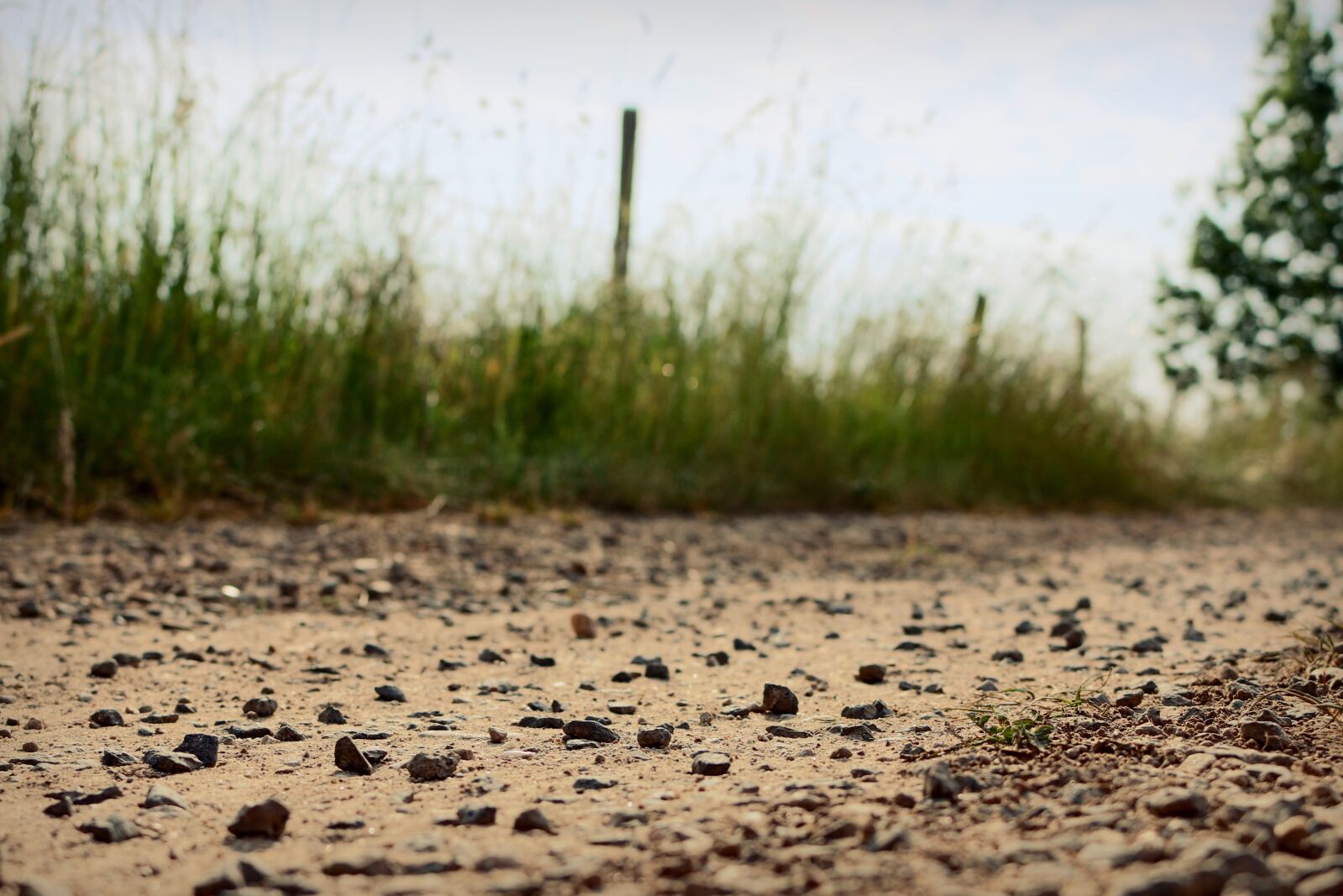 Canon EOS 70D sample photo. Away, path, pebble photography