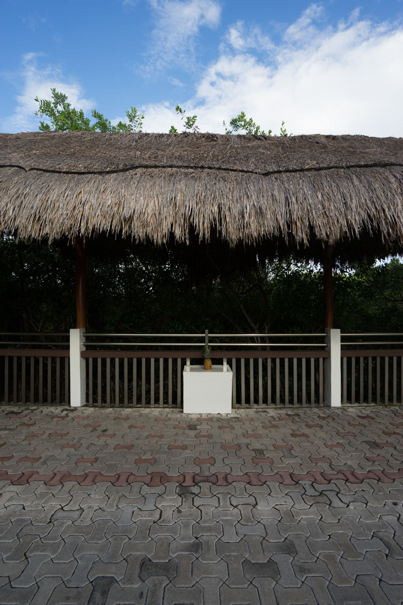 Sony Vario-Tessar T* FE 16-35mm F4 ZA OSS sample photo. Blue, sky, brick, fruit photography