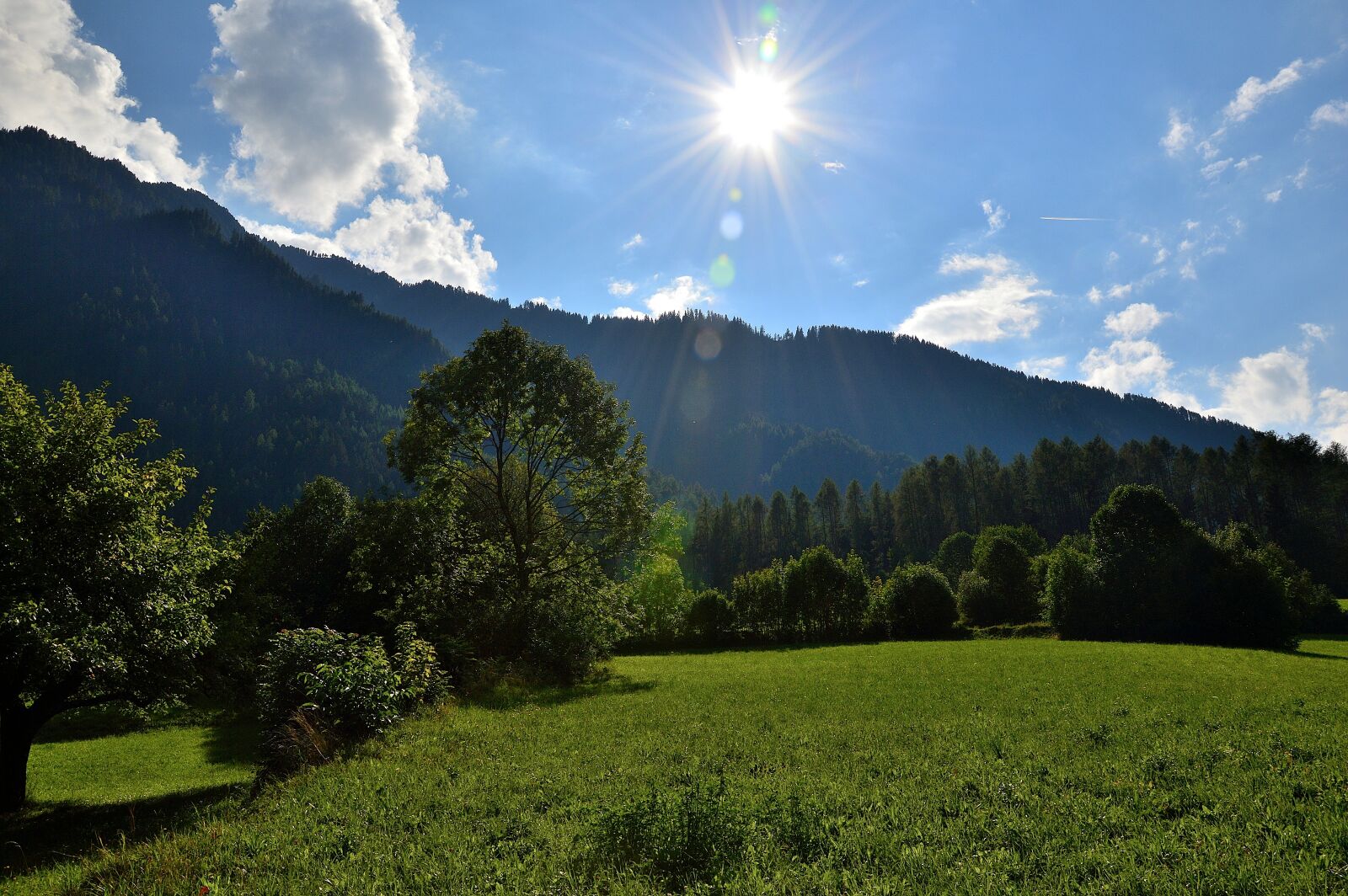 Nikon D3200 sample photo. Sautens, alm, tyrol photography