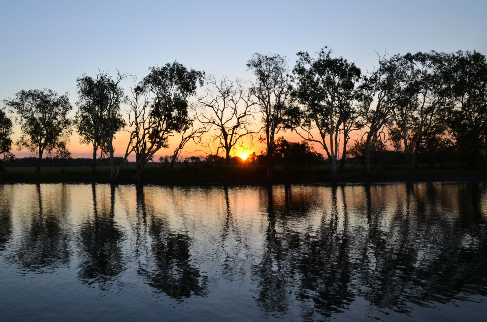 Nikon D5100 sample photo. Yellow water billabong, yellow photography