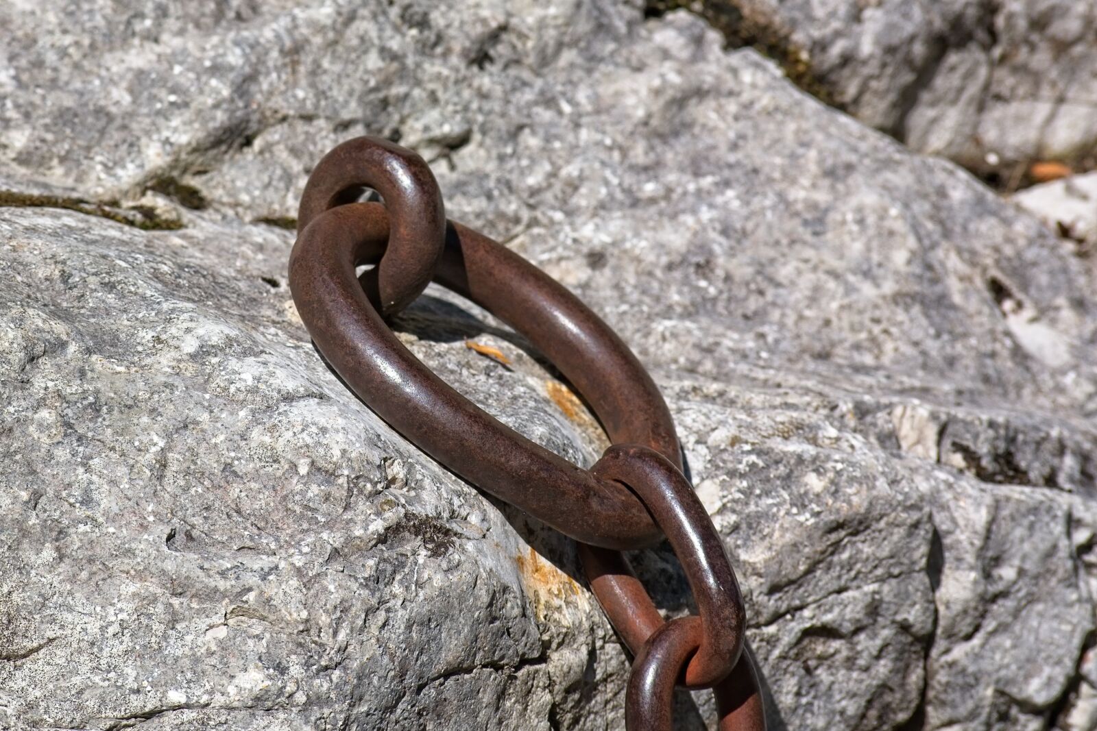 Nikon D7100 sample photo. Iron ring, chain, connection photography
