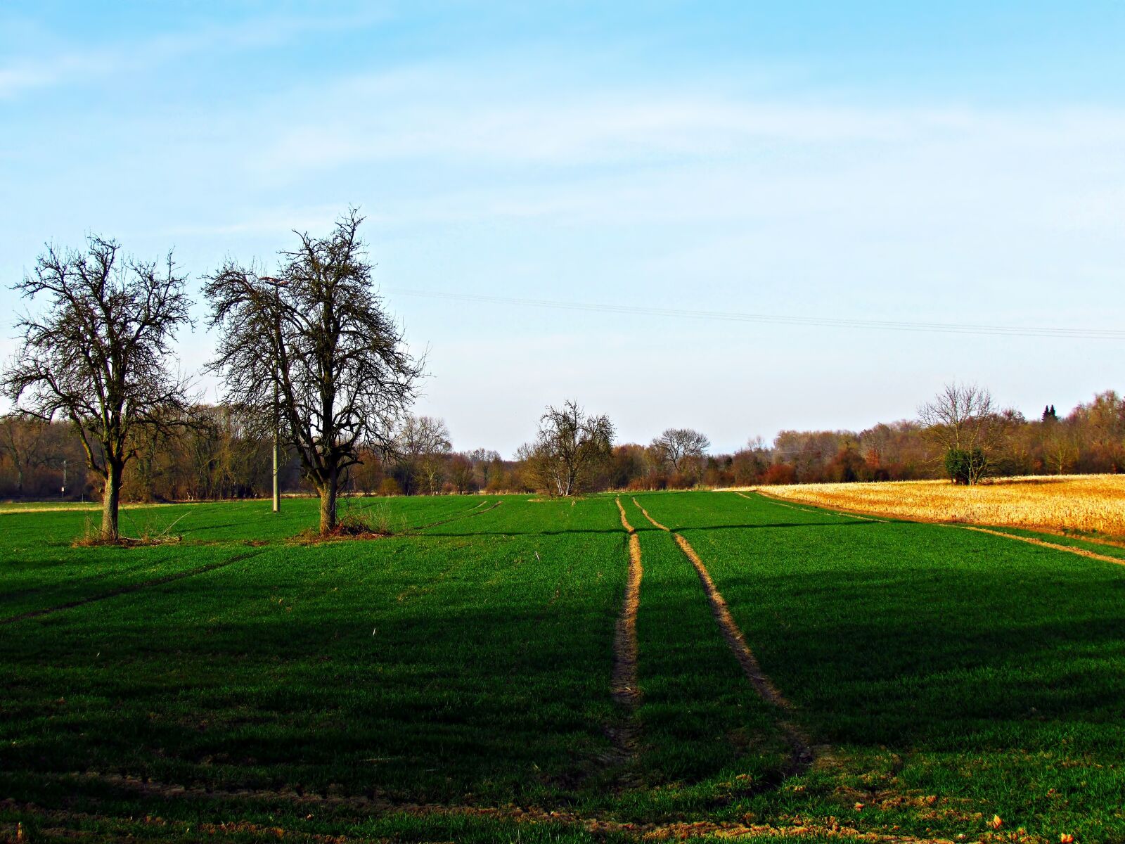 Поле см. Eaton Meadow fields.