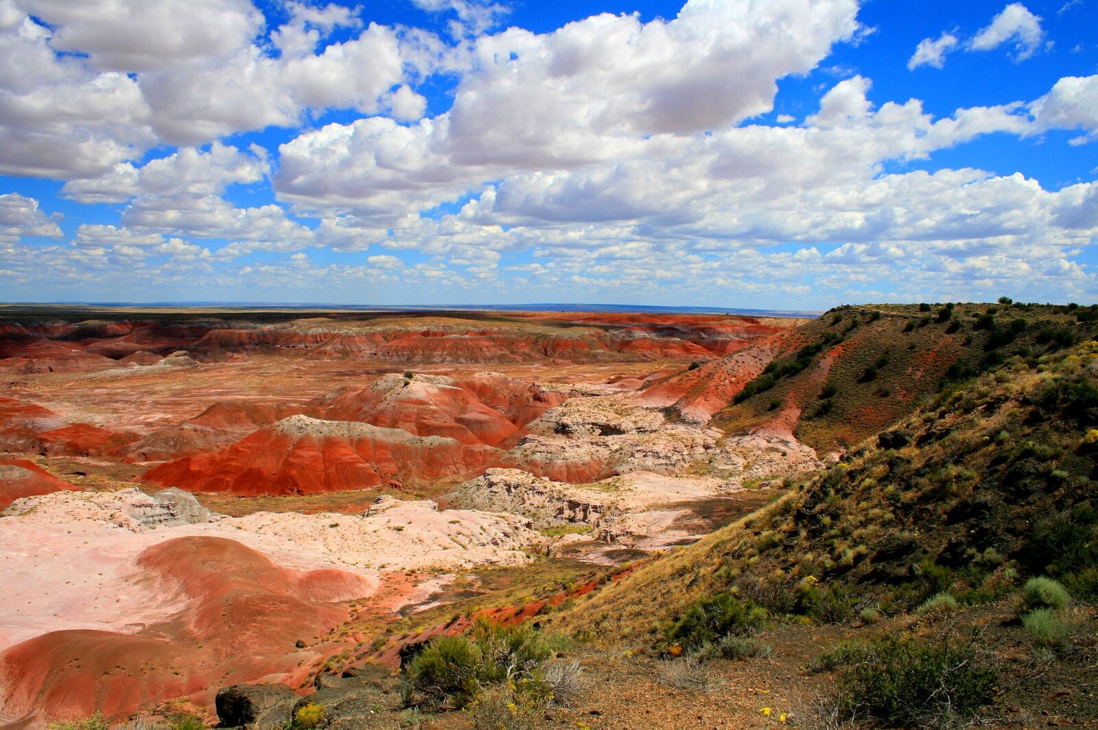 Canon EOS 400D (EOS Digital Rebel XTi / EOS Kiss Digital X) sample photo. Painted desert, colorful, clouds photography