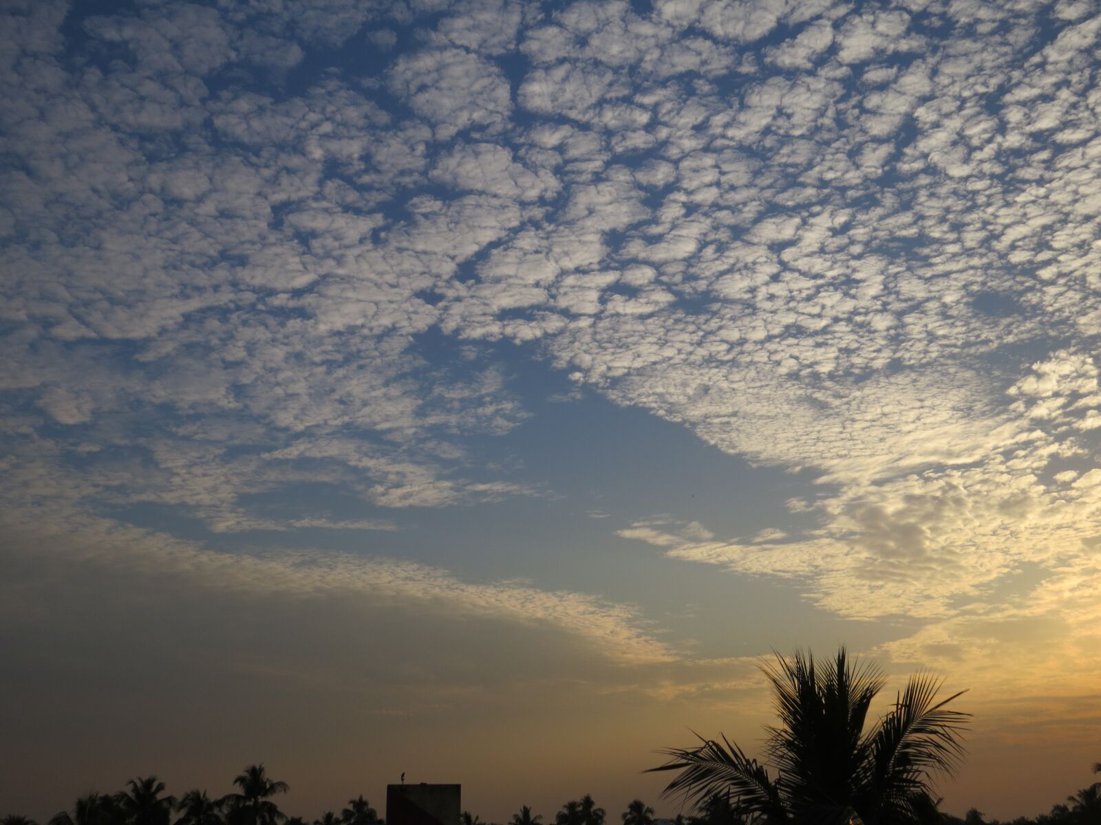 Canon PowerShot SX50 HS sample photo. Cotton sky, sky, different photography