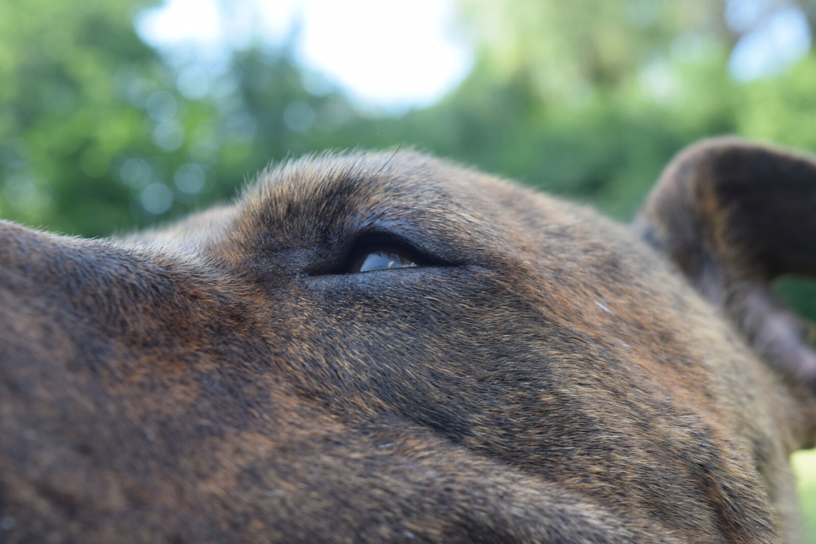 Nikon D3300 sample photo
